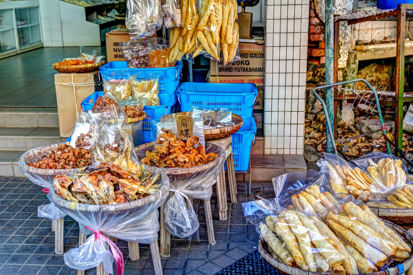ASIA 2019 HONG KONG LANTAU-13.JPG