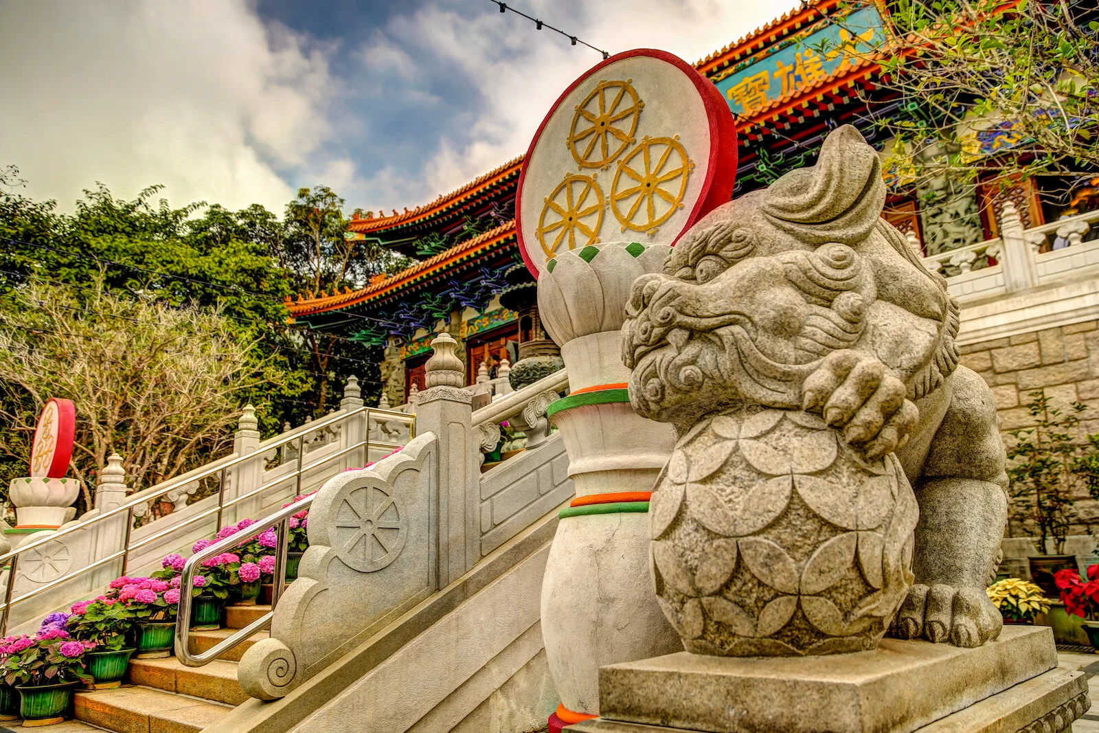 ASIA 2019 HONG KONG LANTAU-85.JPG