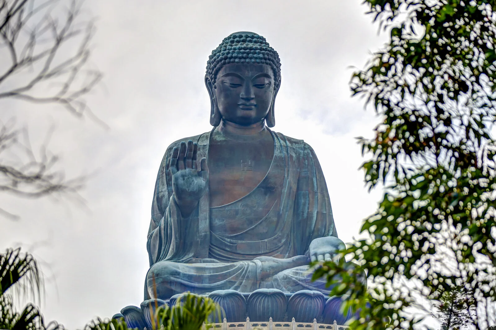 ASIA 2019 HONG KONG LANTAU-101.JPG