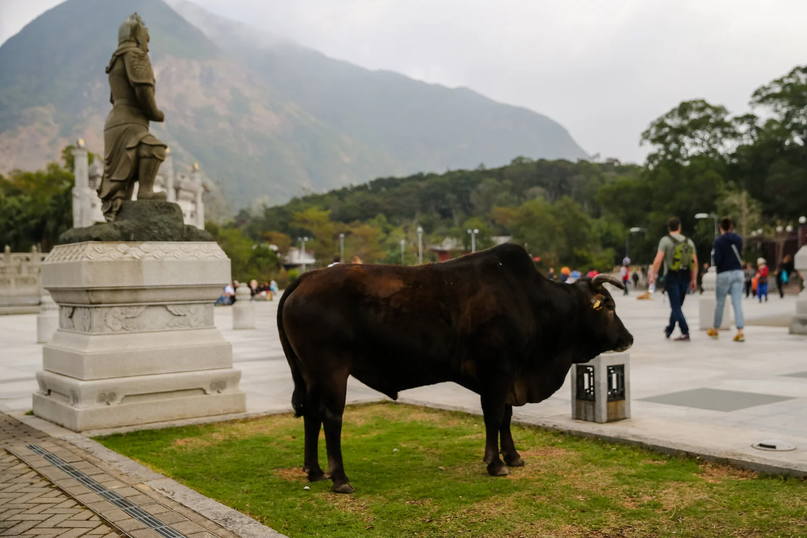 ASIA 2019 HONG KONG LANTAU-111.JPG