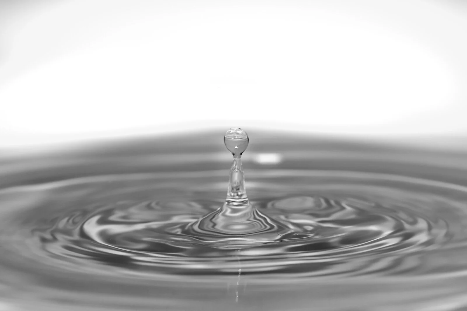 2020 WATER DROPS-6.JPG