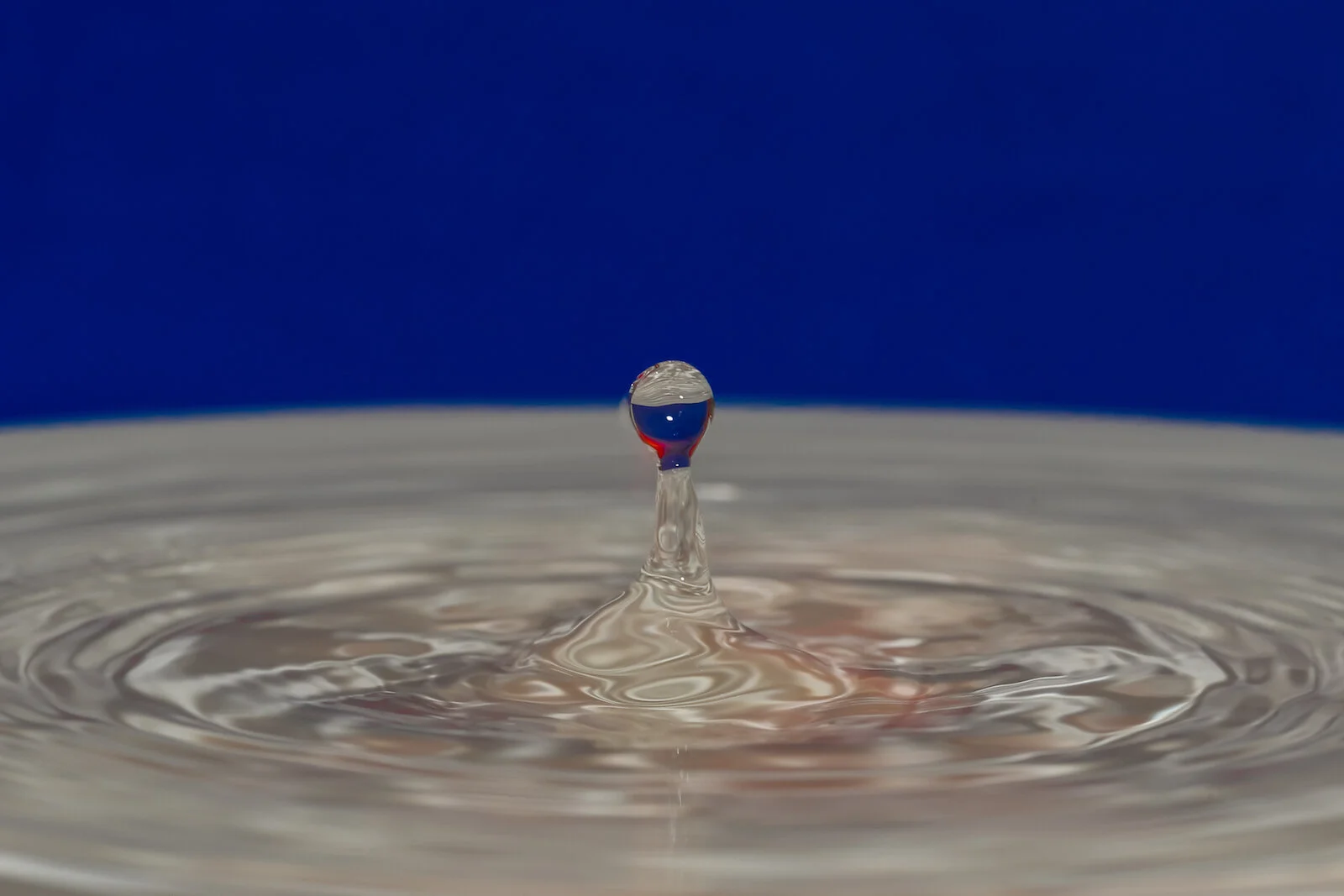 2020 WATER DROPS-27.JPG