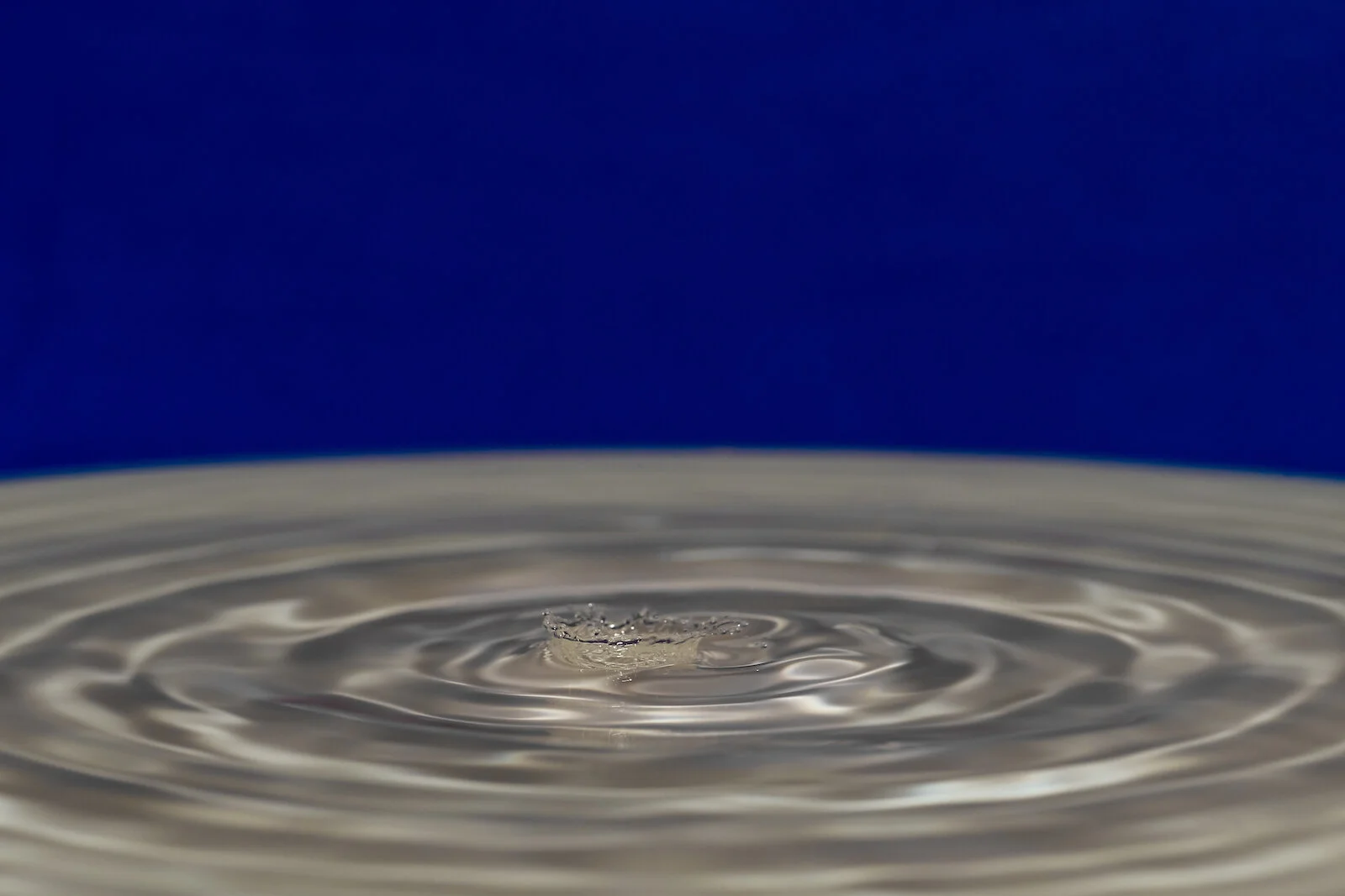 2020 WATER DROPS-28.JPG