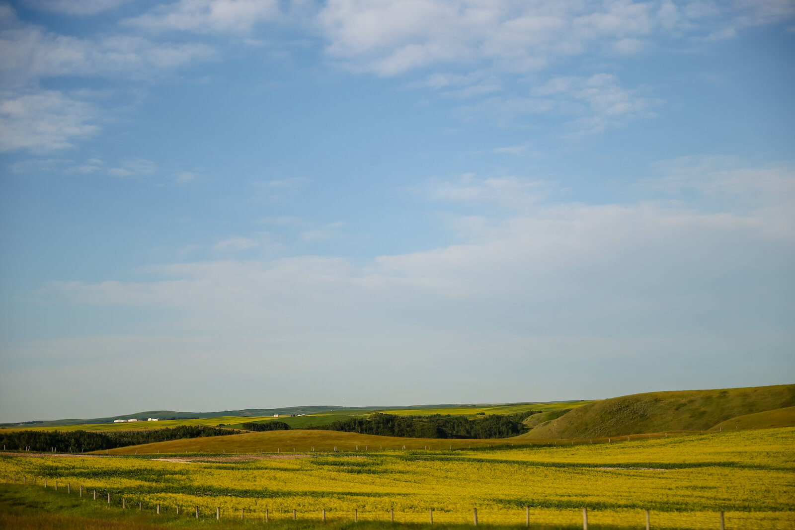 2020 Eastern Alberta Highways 5.JPG