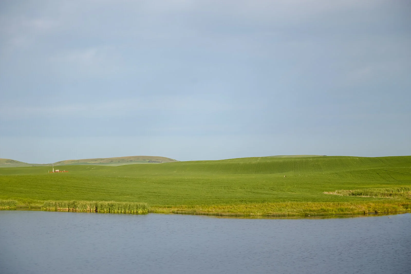 2020 Eastern Alberta Highways 12.JPG