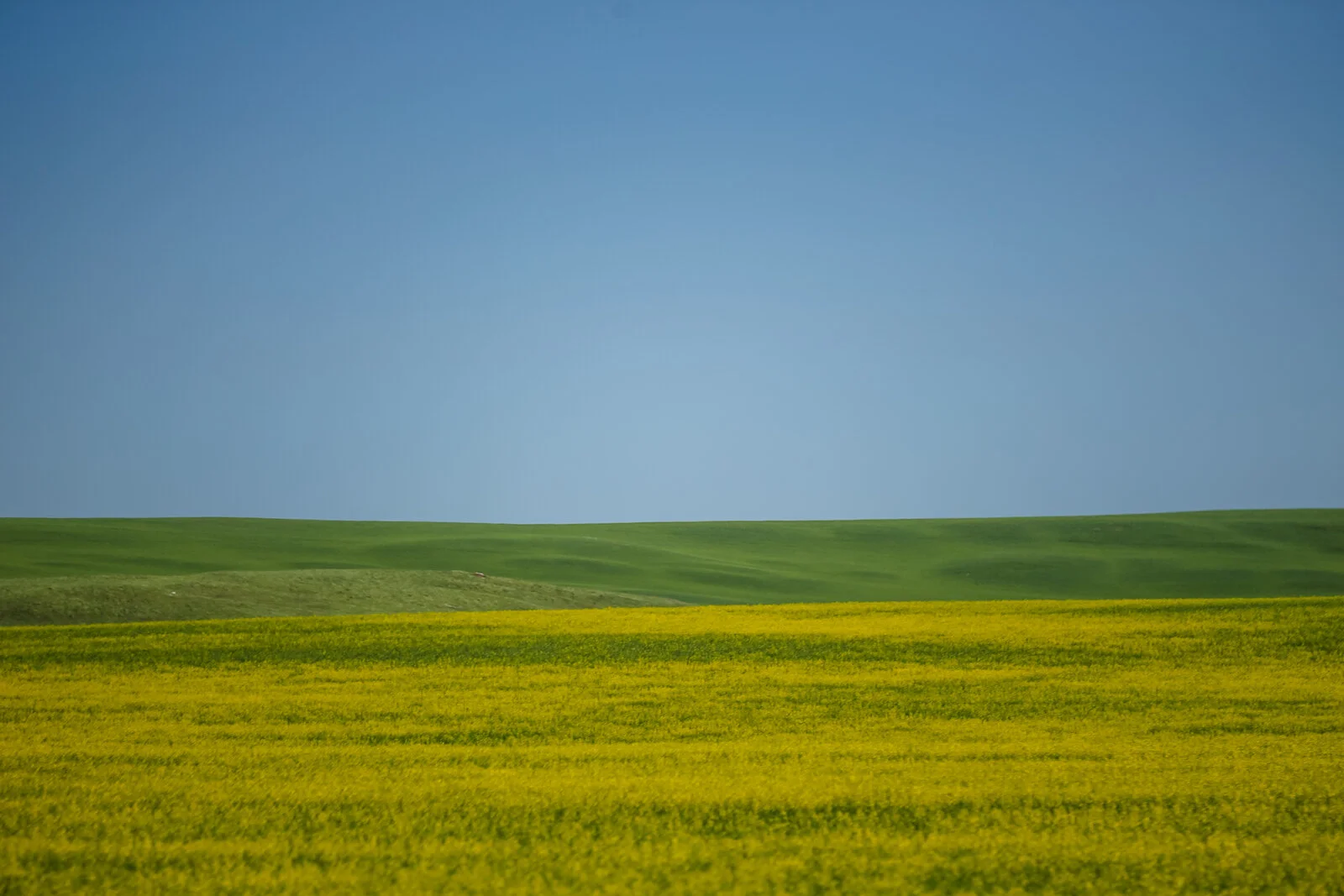 2020 Eastern Alberta Highways 28.JPG