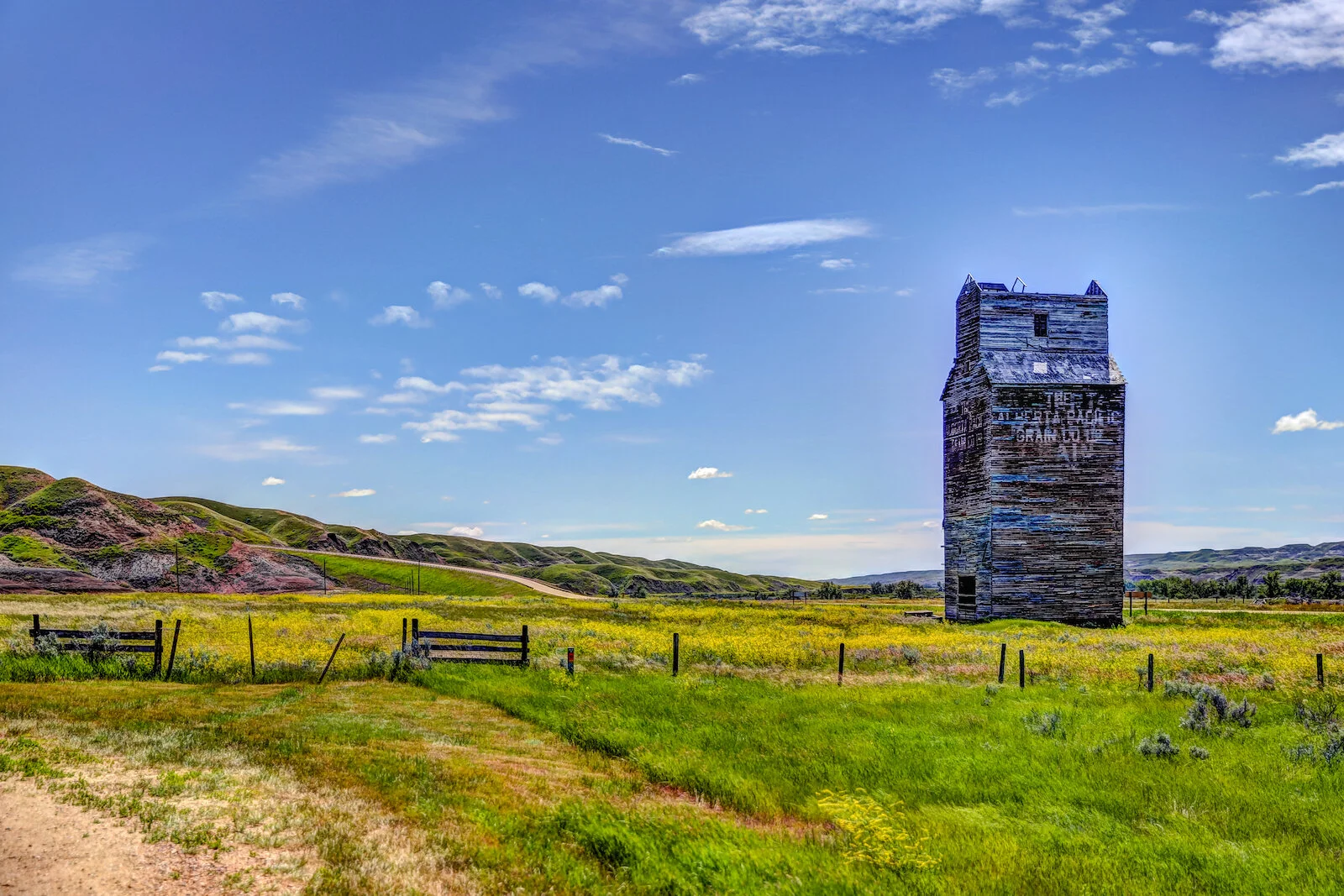 2020 Dorothy:Wayne 5.JPG