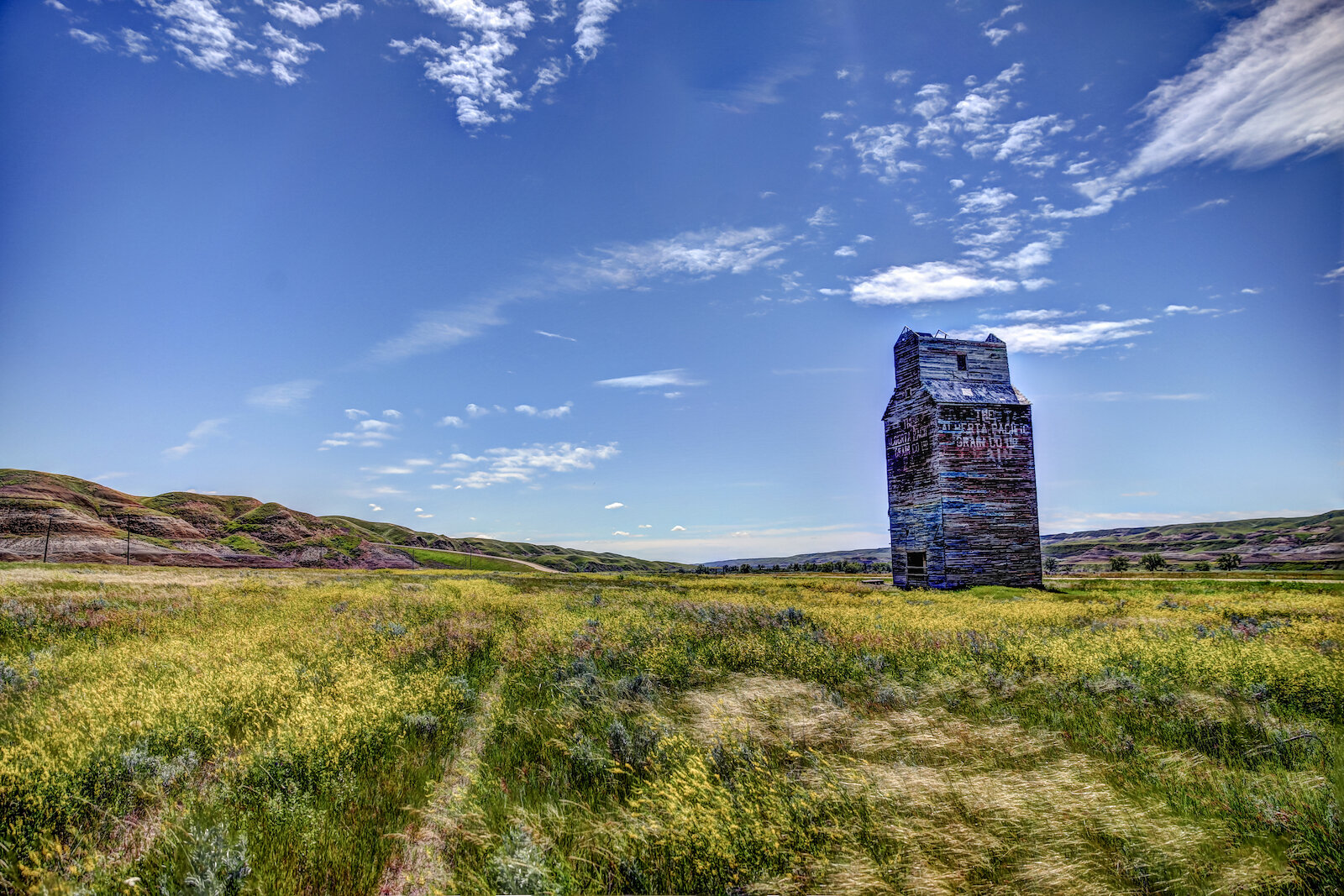 2020 Dorothy:Wayne 7.JPG