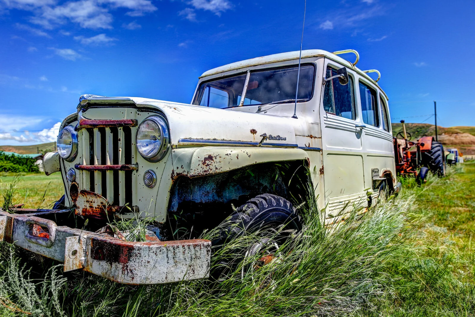 2020 Dorothy:Wayne 9.JPG