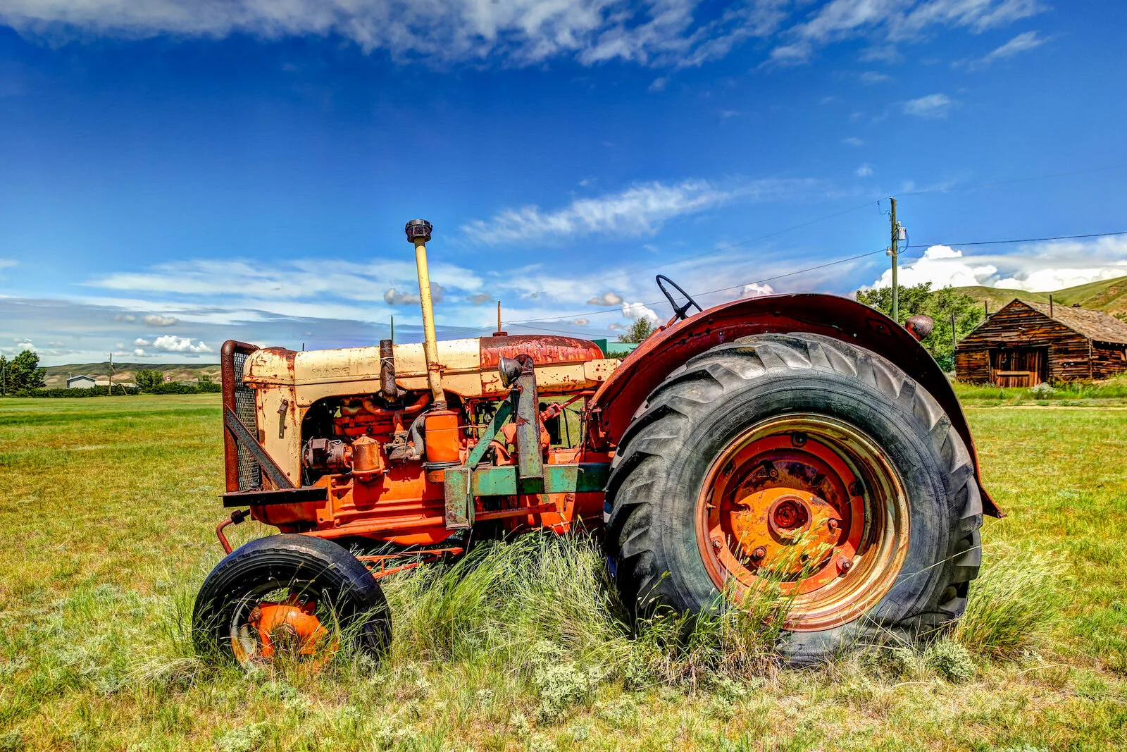2020 Dorothy:Wayne 12.JPG