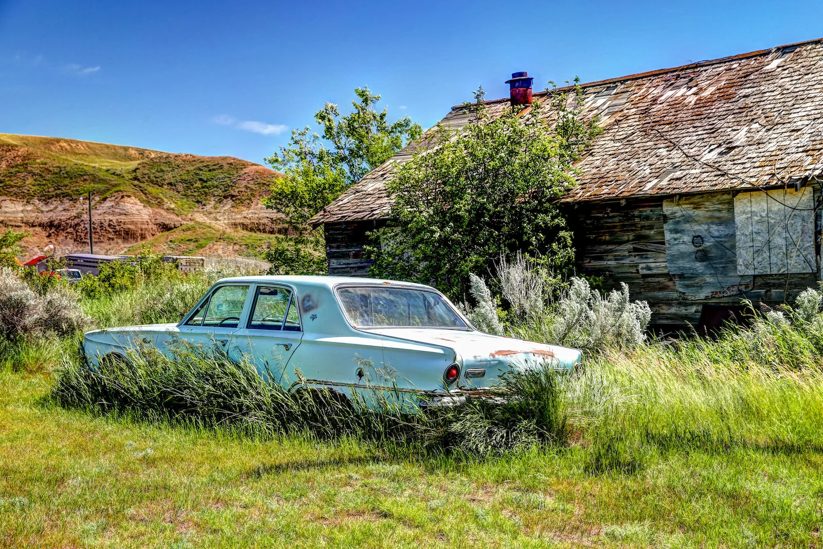 2020 Dorothy:Wayne 16.JPG