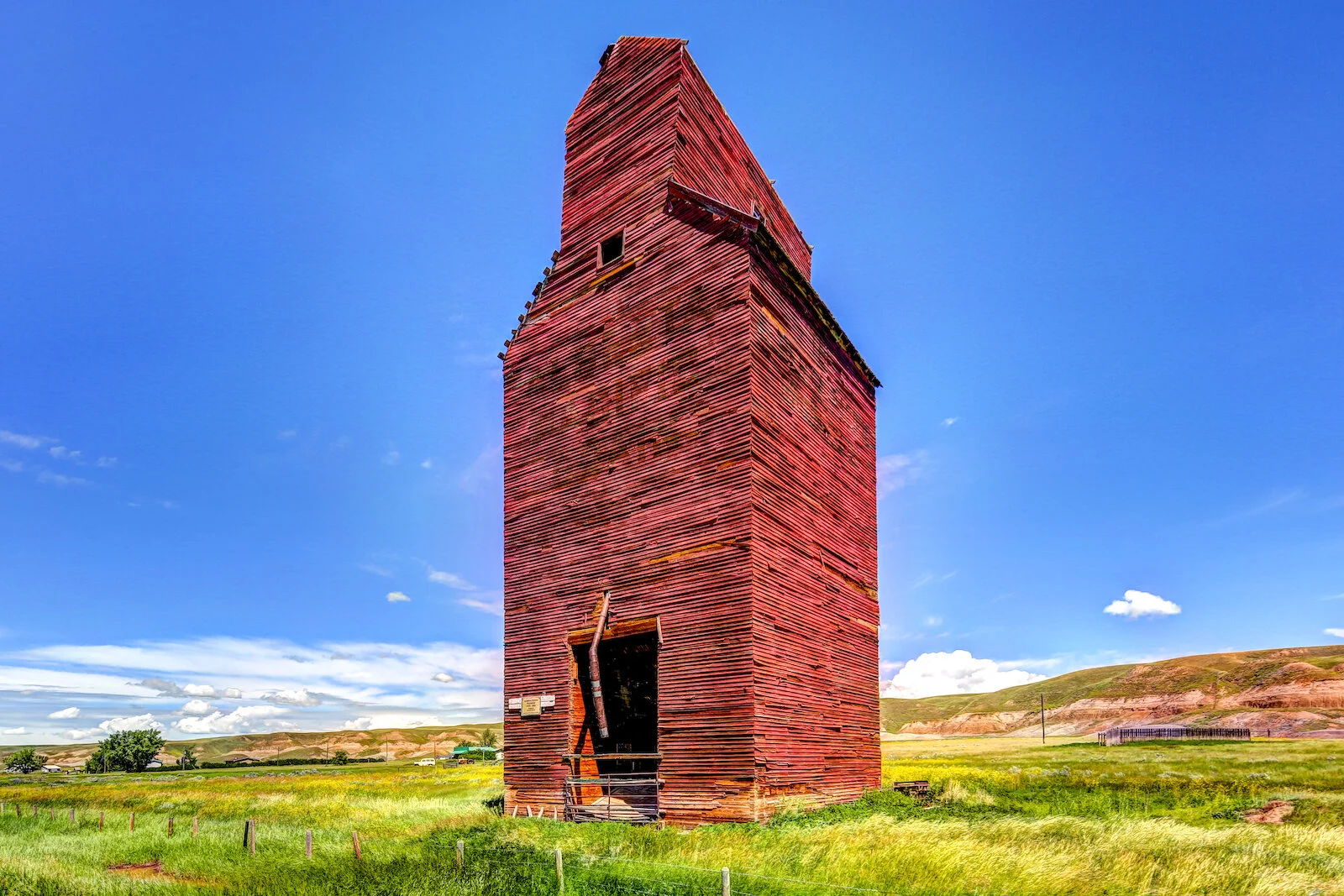 2020 Dorothy:Wayne 30.JPG