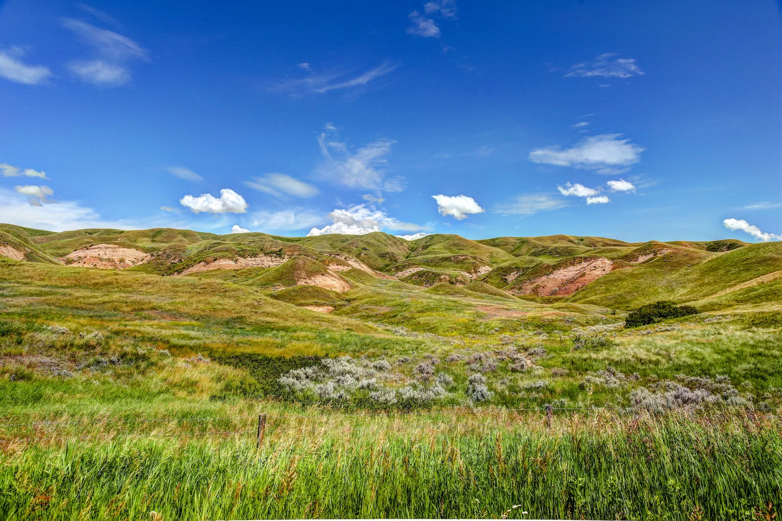 2020 Dorothy:Wayne 32.JPG