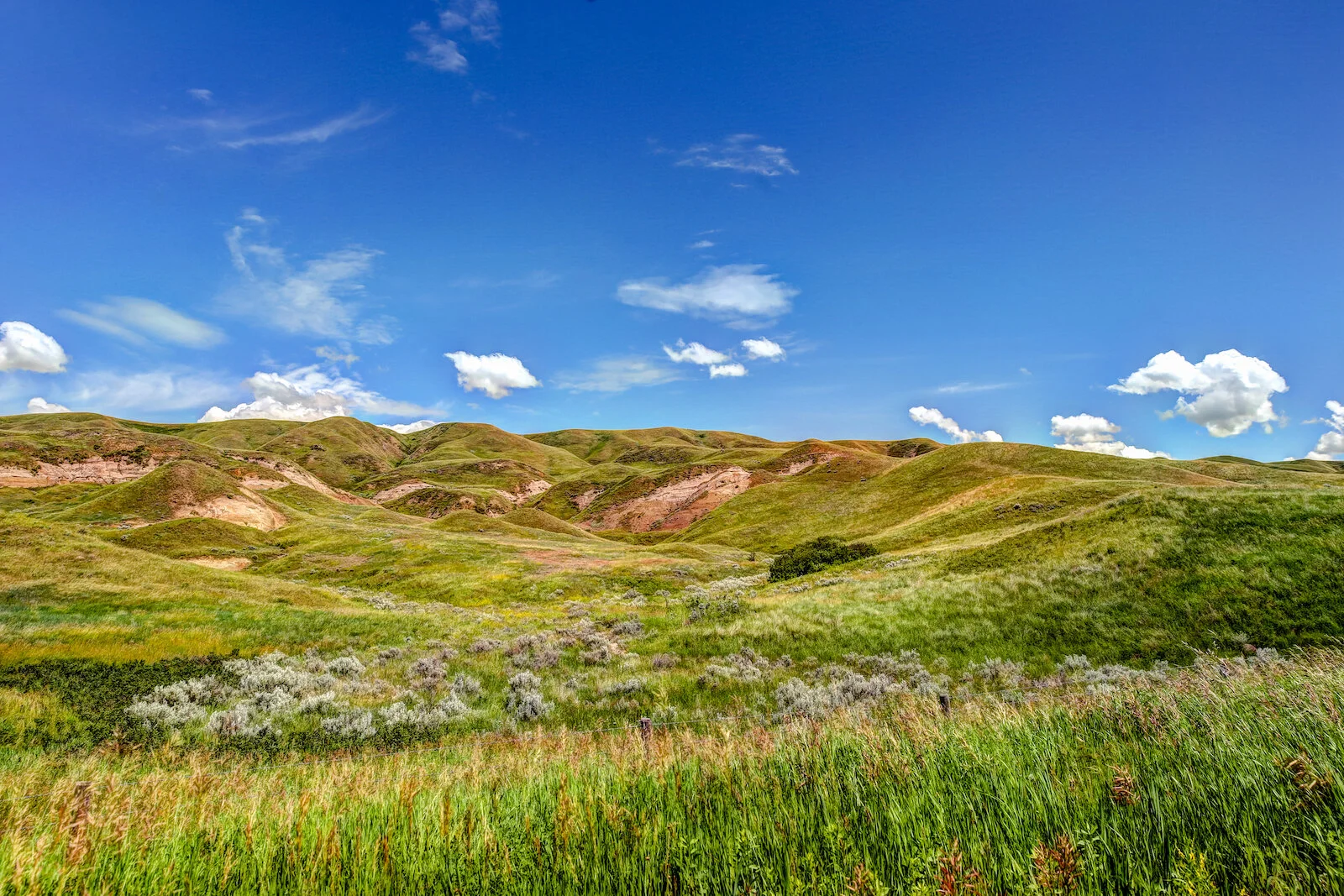 2020 Dorothy:Wayne 33.JPG