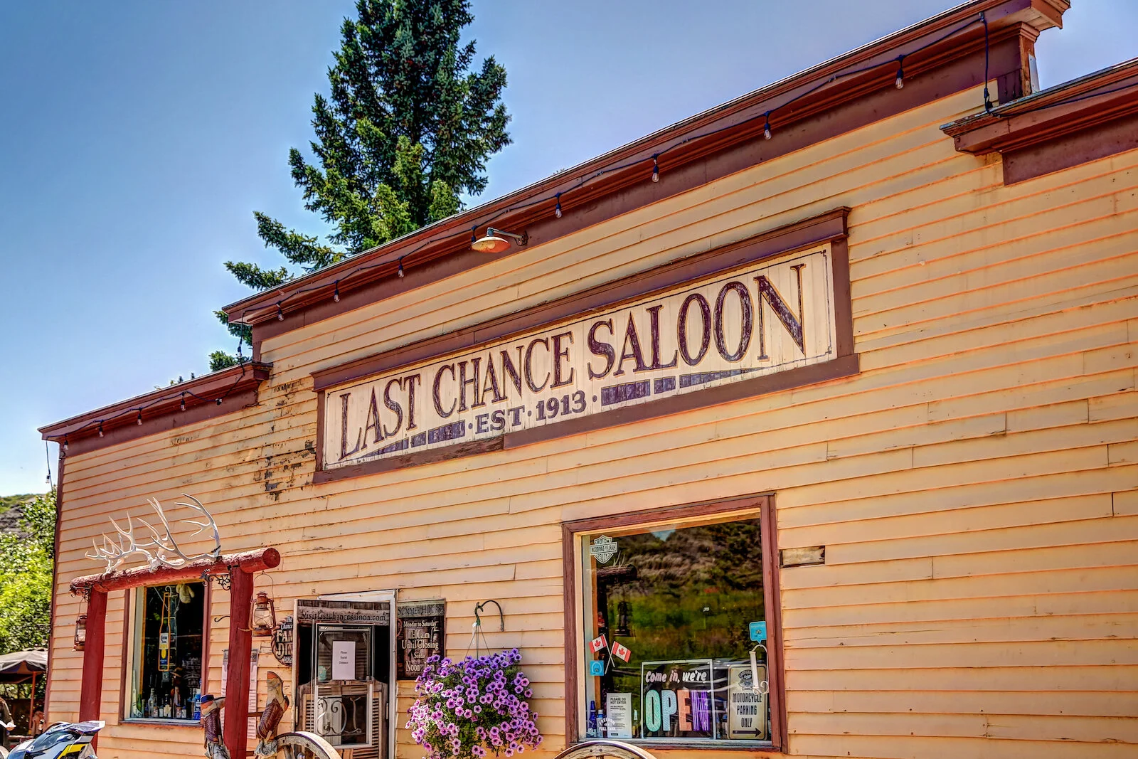 2020 Dorothy:Wayne35.JPG