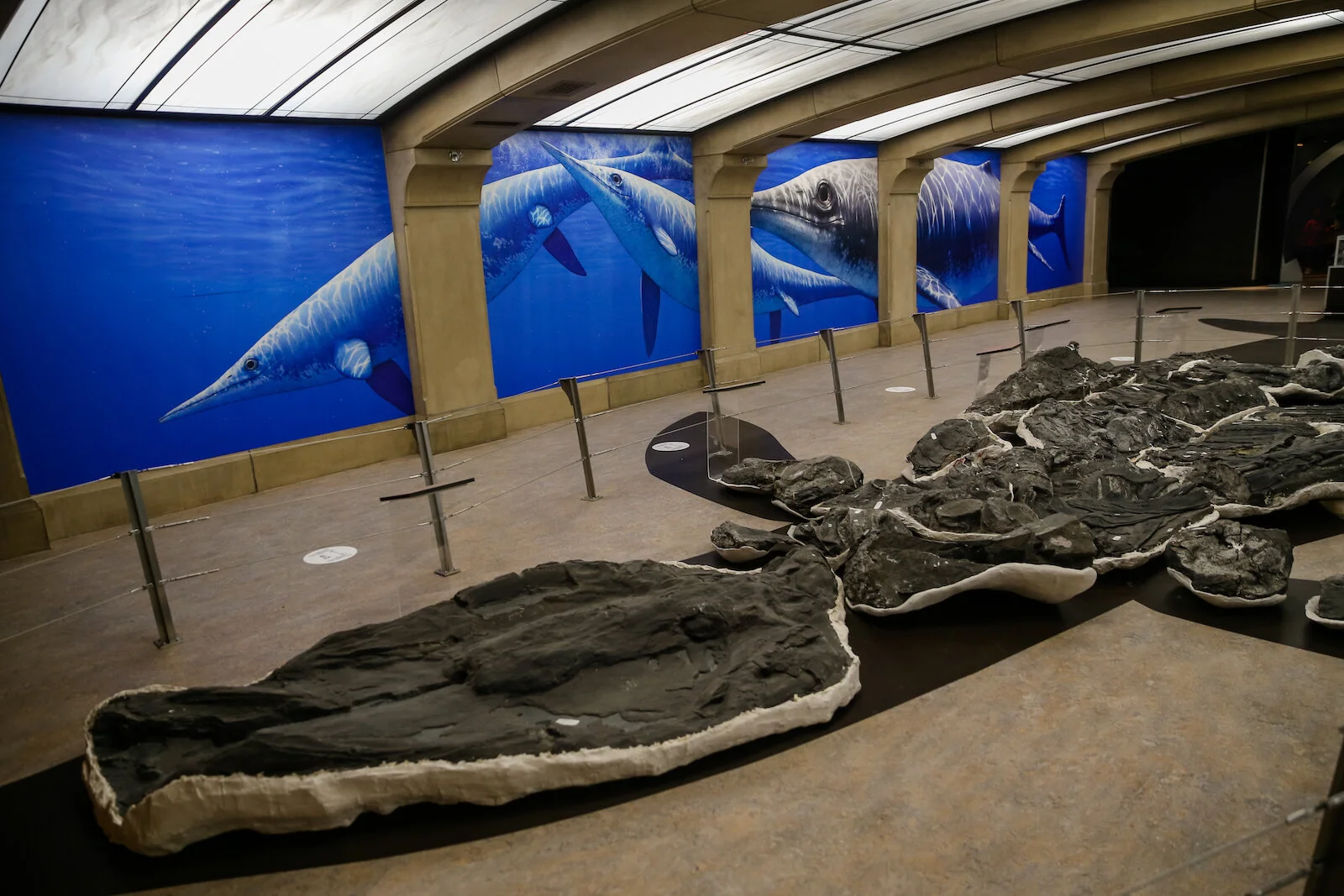 2020 Royal Tyrell Museum27.JPG