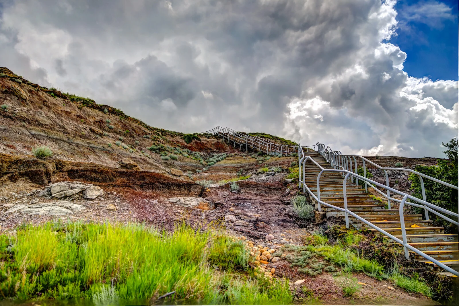 2020 Royal Tyrell Museum40.JPG