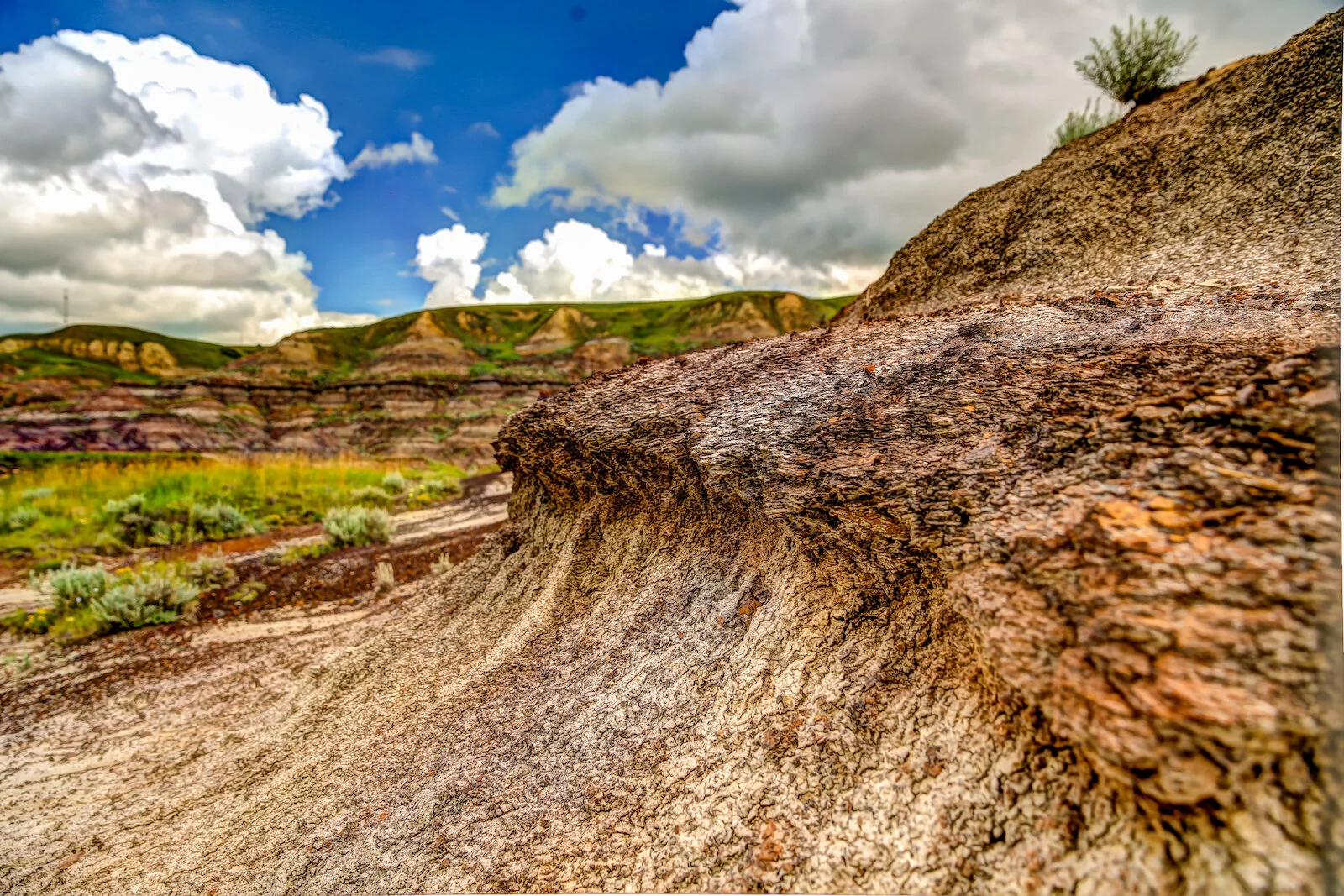 2020 Royal Tyrell Museum59.JPG