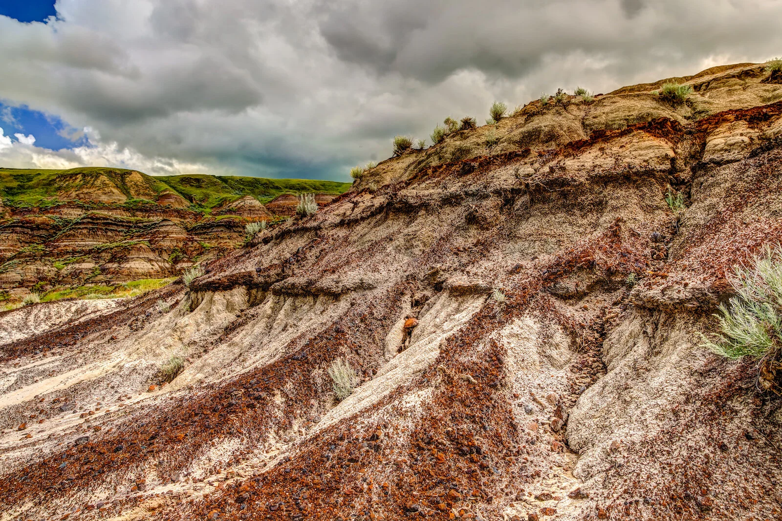 2020 Royal Tyrell Museum61.JPG