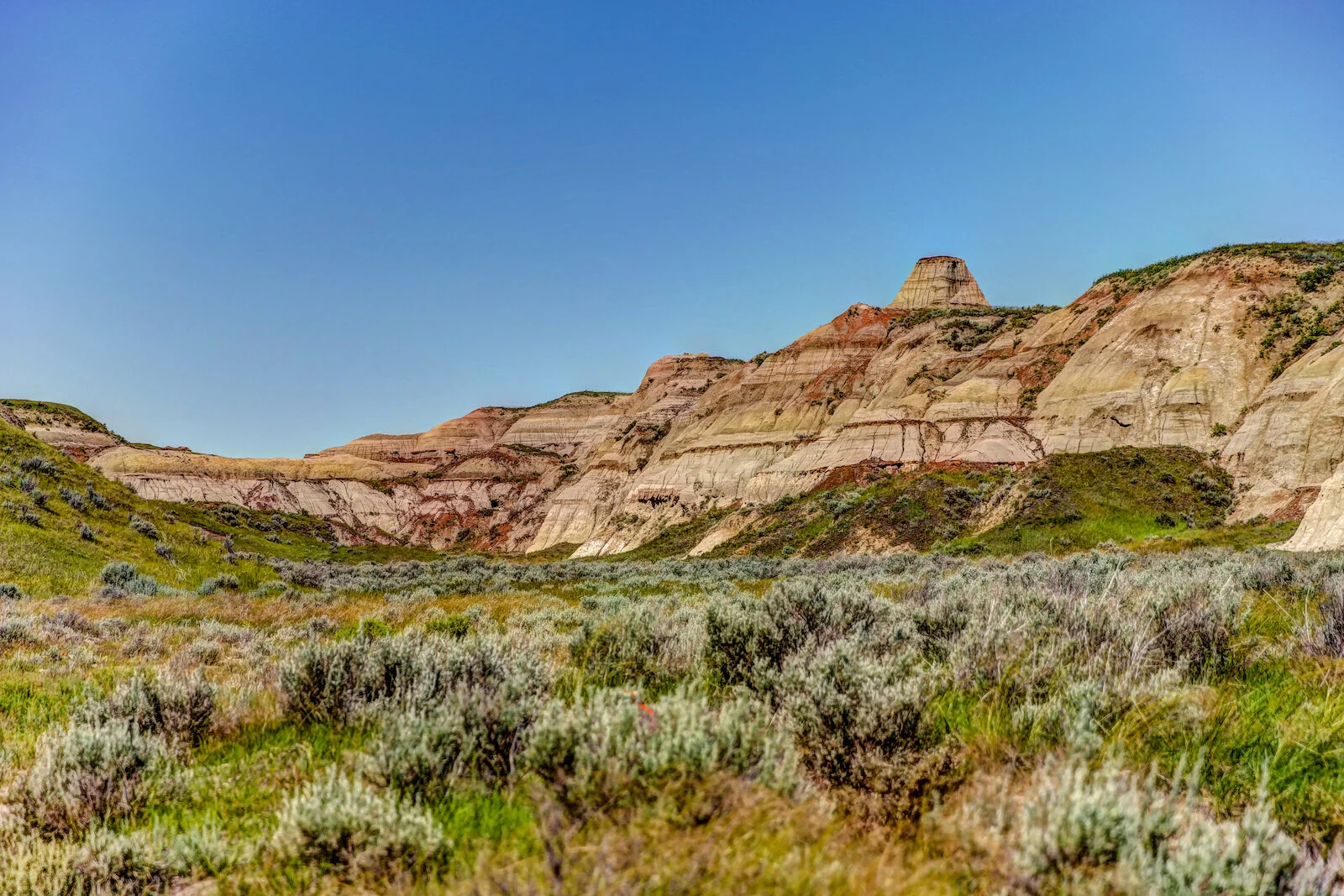 2020 Dinosaur Provincial Park 21.JPG