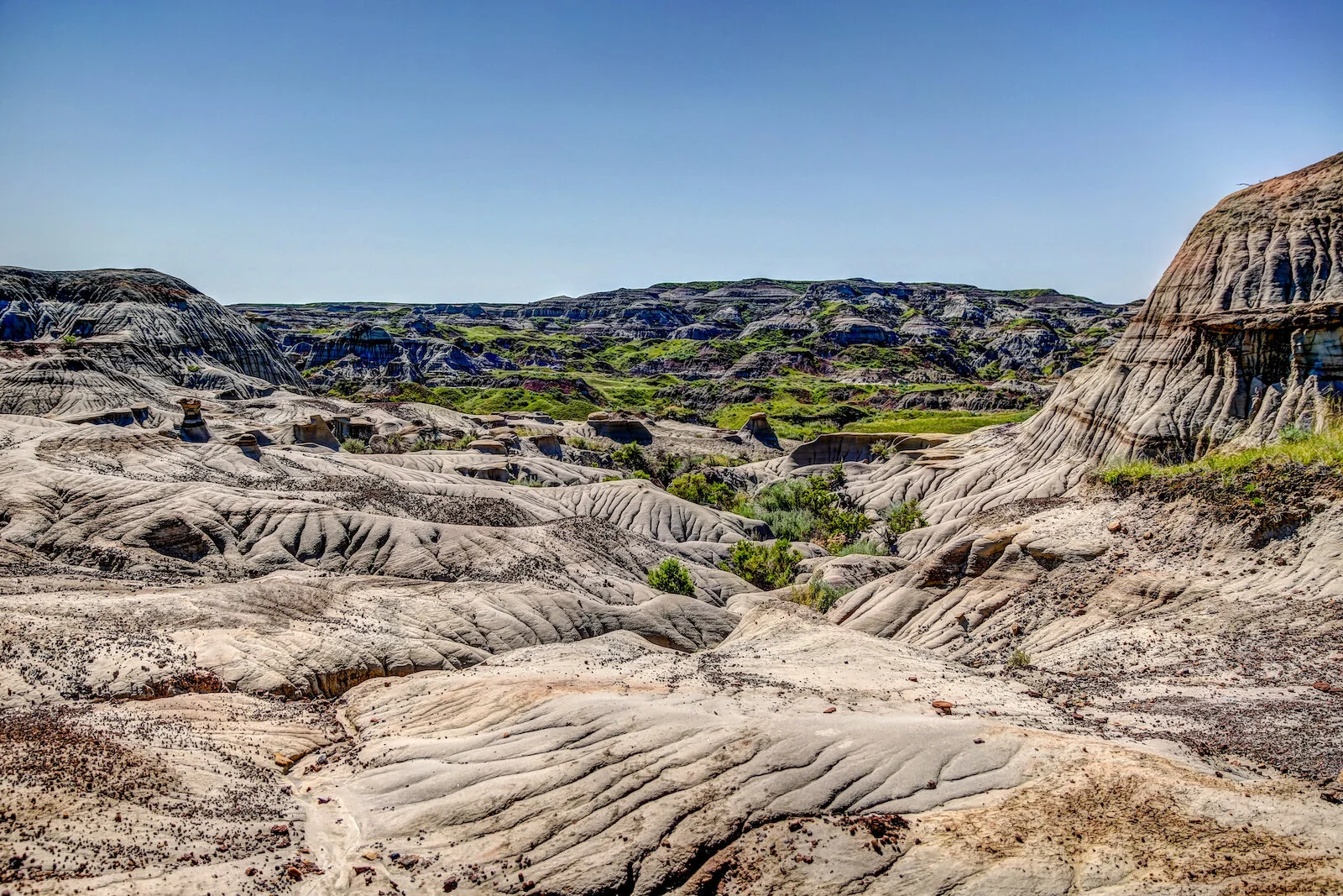 2020 Dinosaur Provincial Park 29.JPG