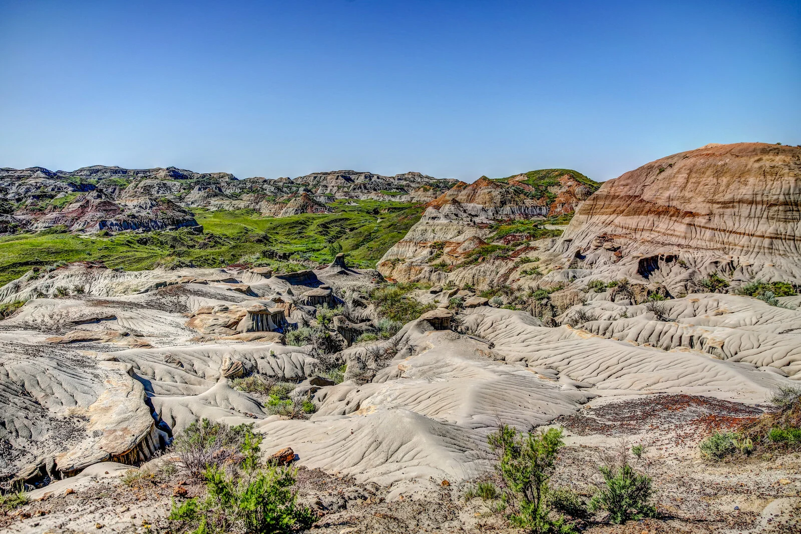 2020 Dinosaur Provincial Park 32.JPG