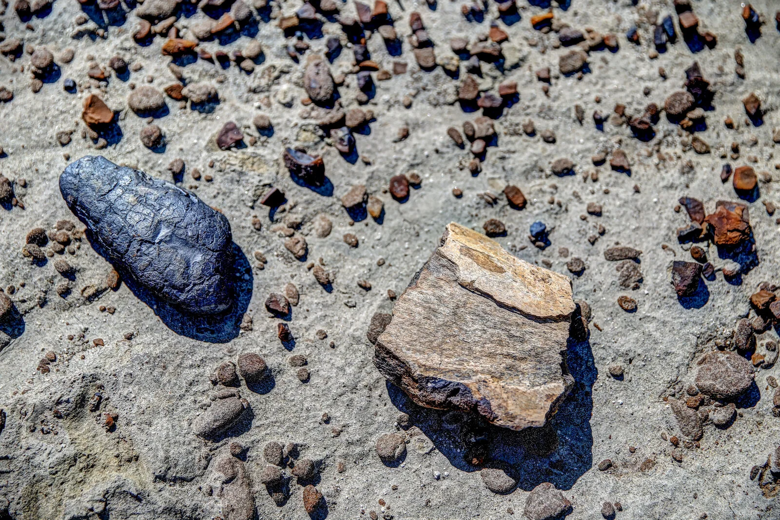 2020 Dinosaur Provincial Park 34.JPG