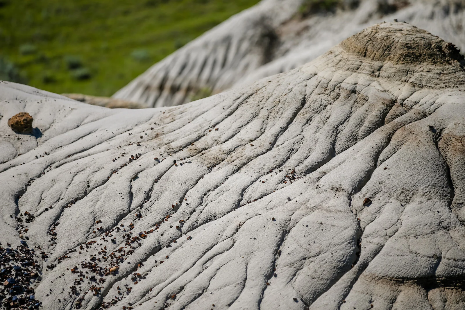 2020 Dinosaur Provincial Park 47.JPG