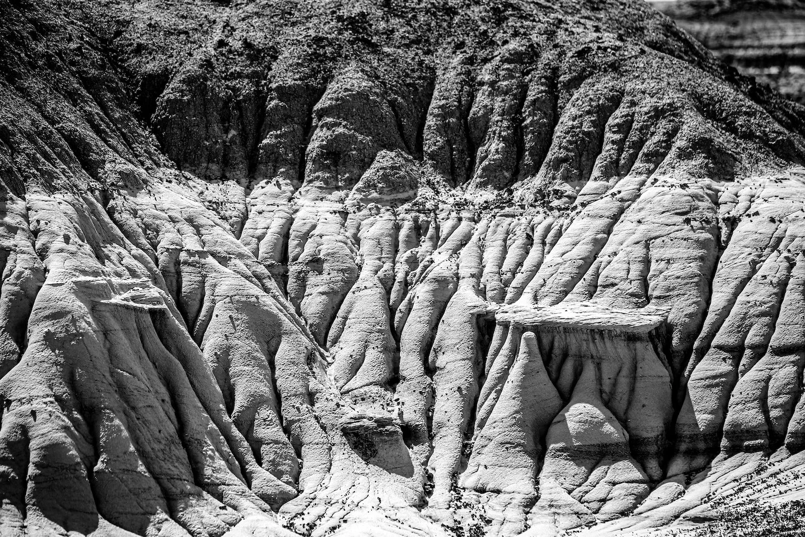 2020 Dinosaur Provincial Park 50.JPG