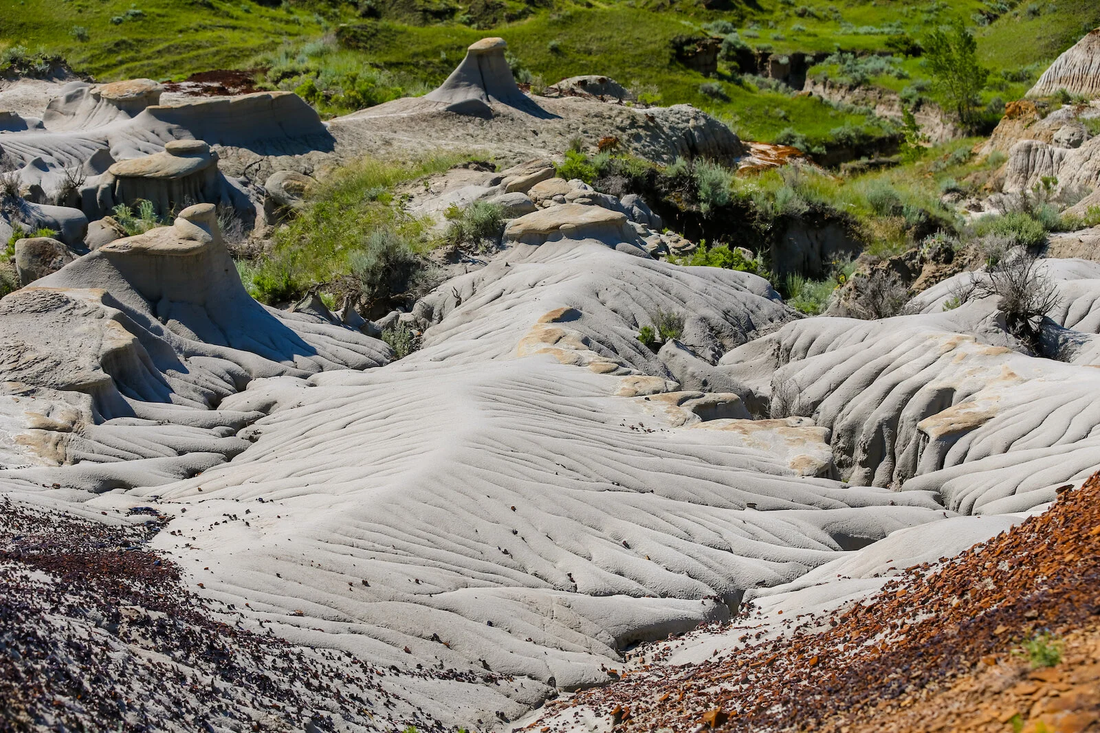 2020 Dinosaur Provincial Park 54.JPG