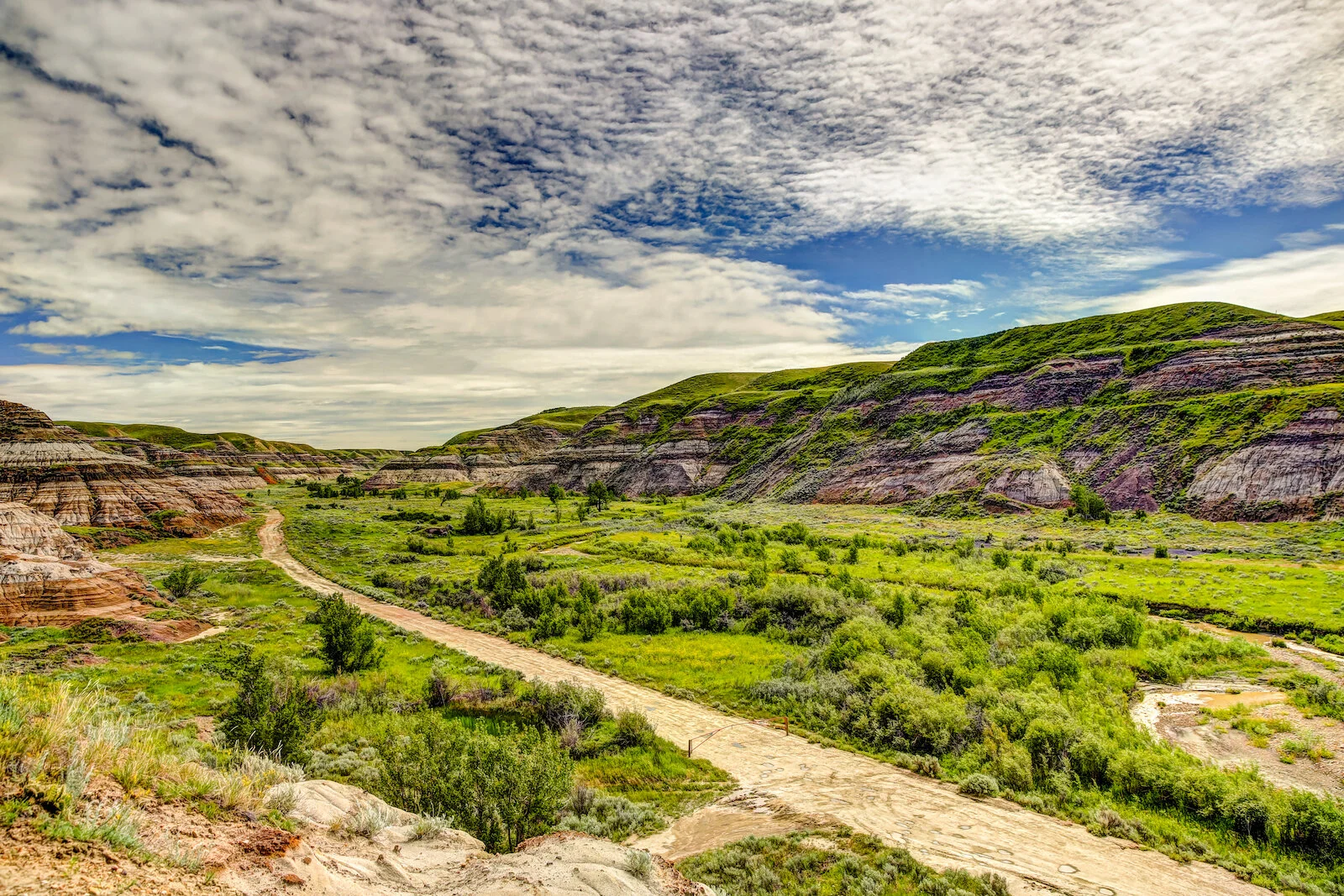 2020 Hoodoos 37.JPG