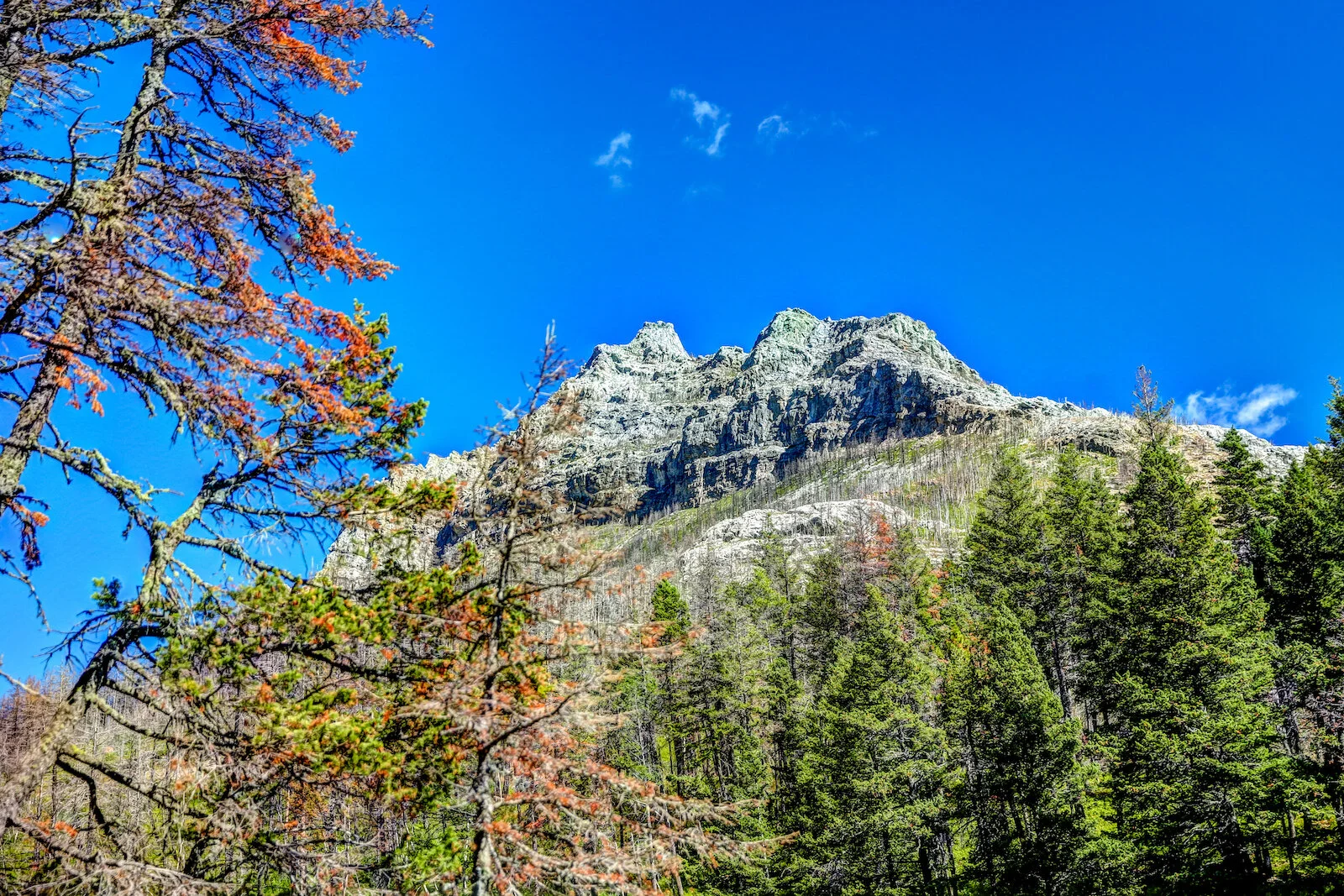 WATERTON-24.JPG