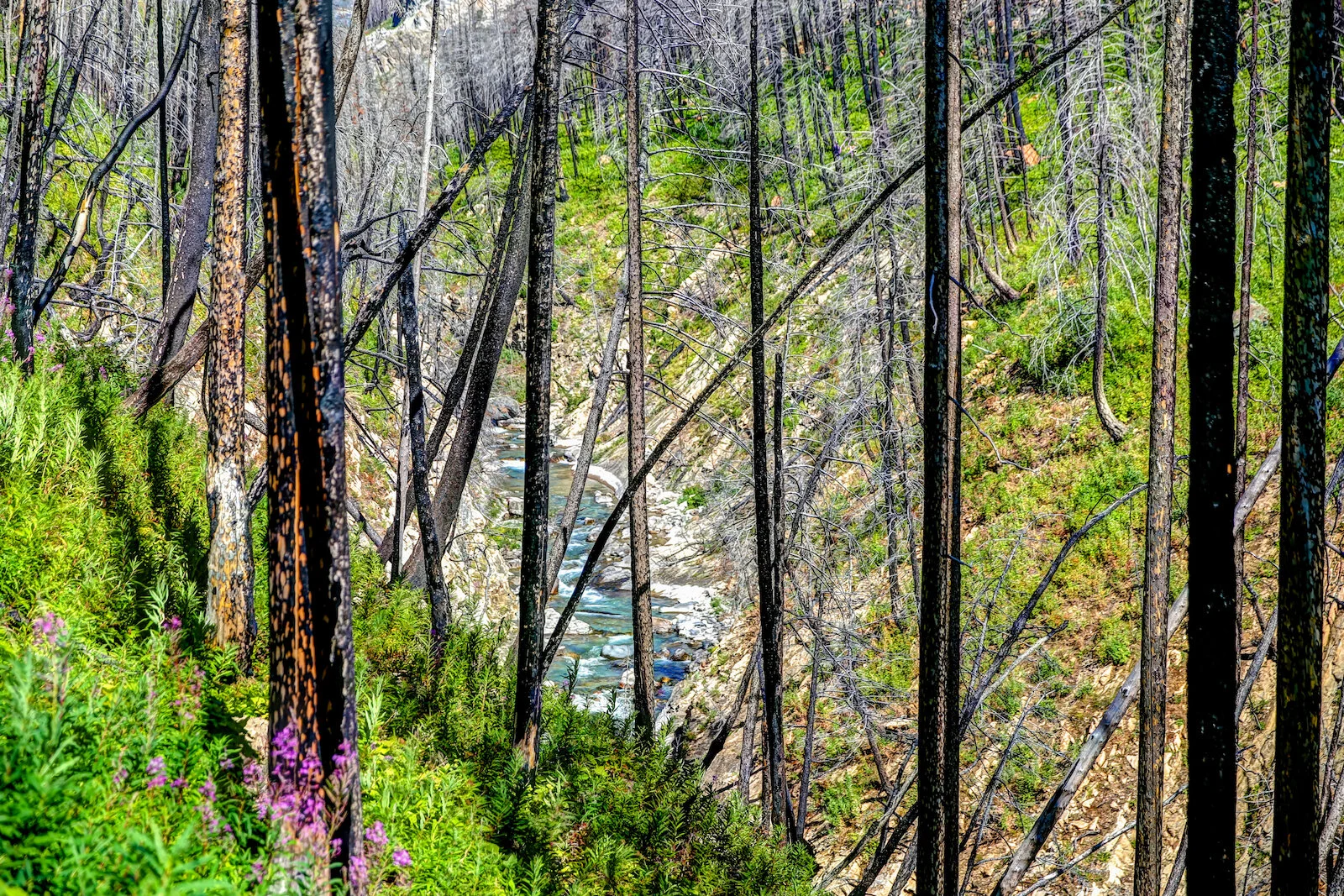 WATERTON-25.JPG