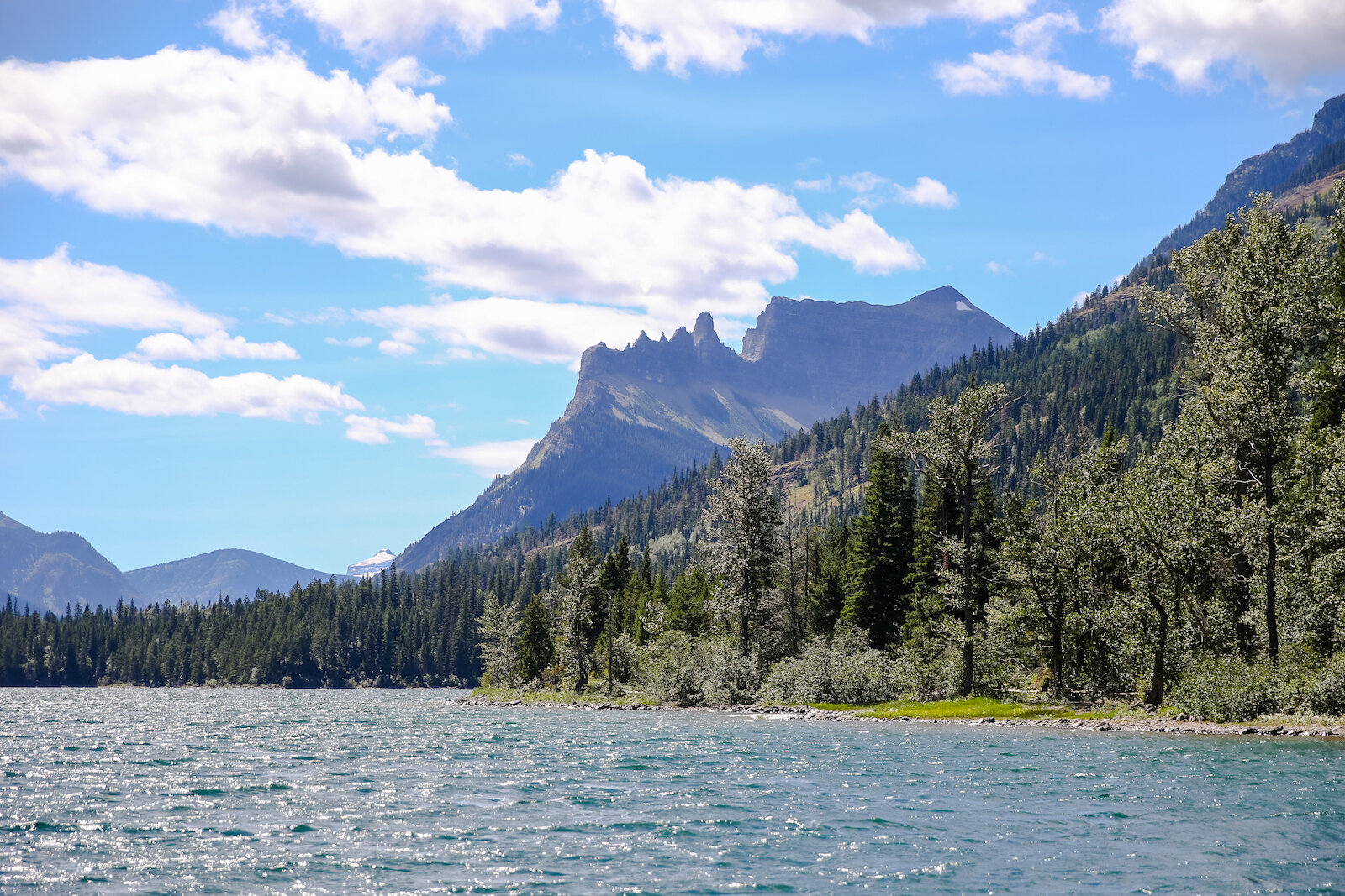 WATERTON-49.JPG