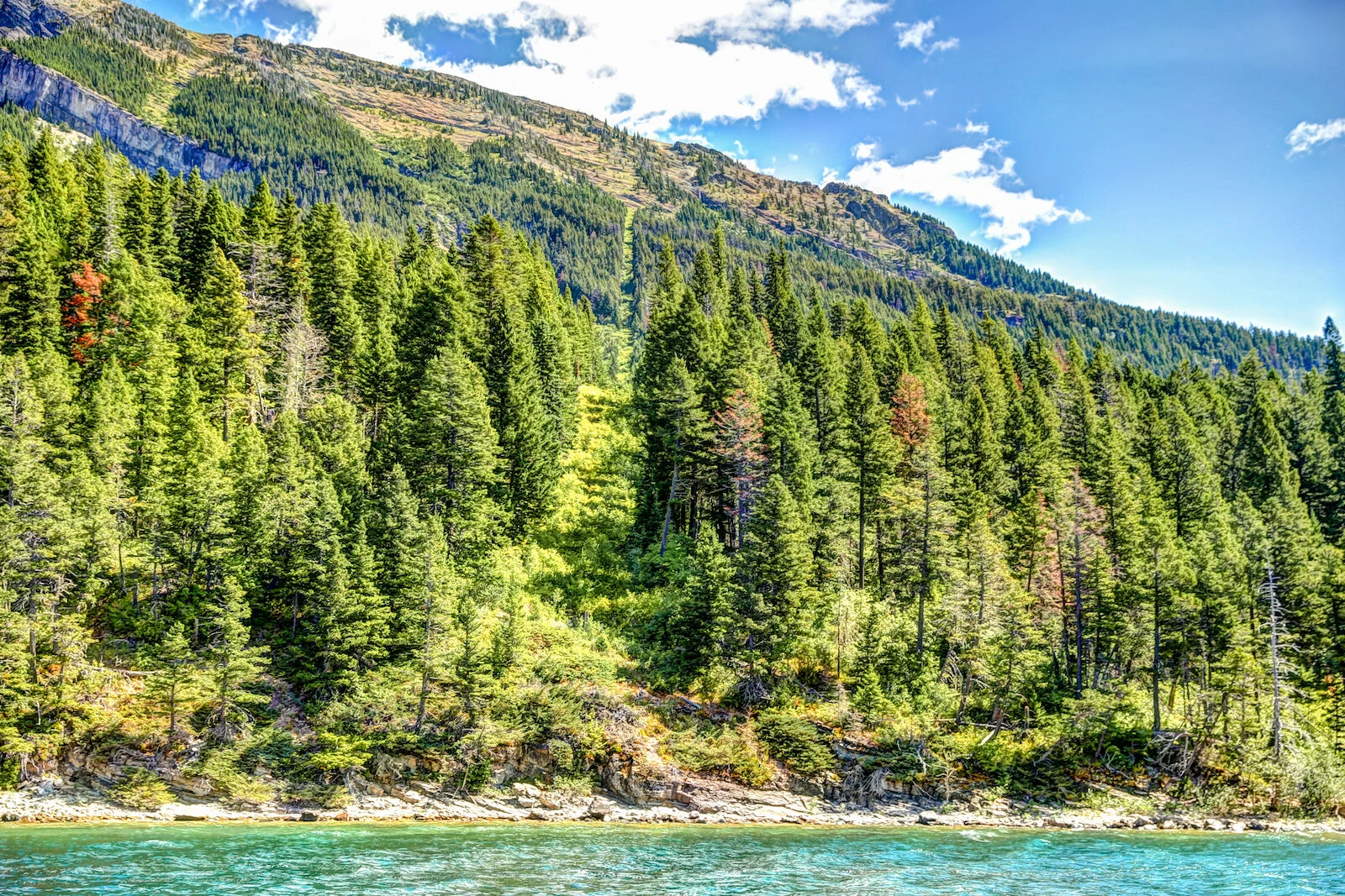 WATERTON-50.JPG