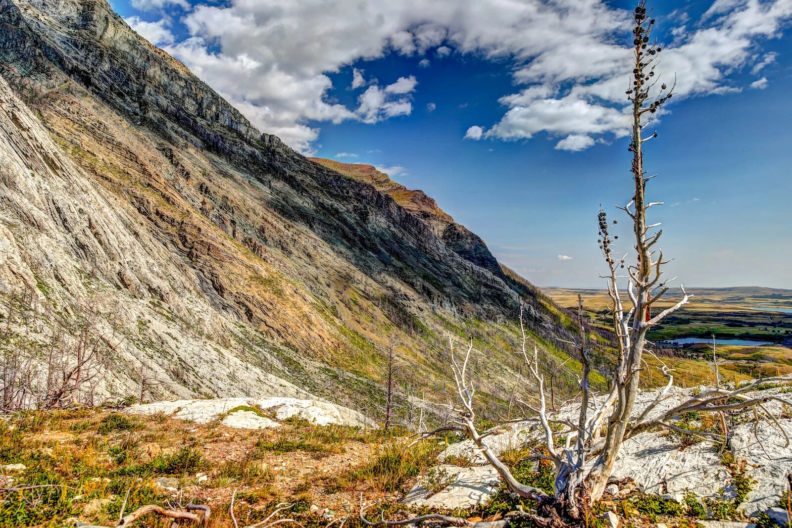 WATERTON-91.JPG