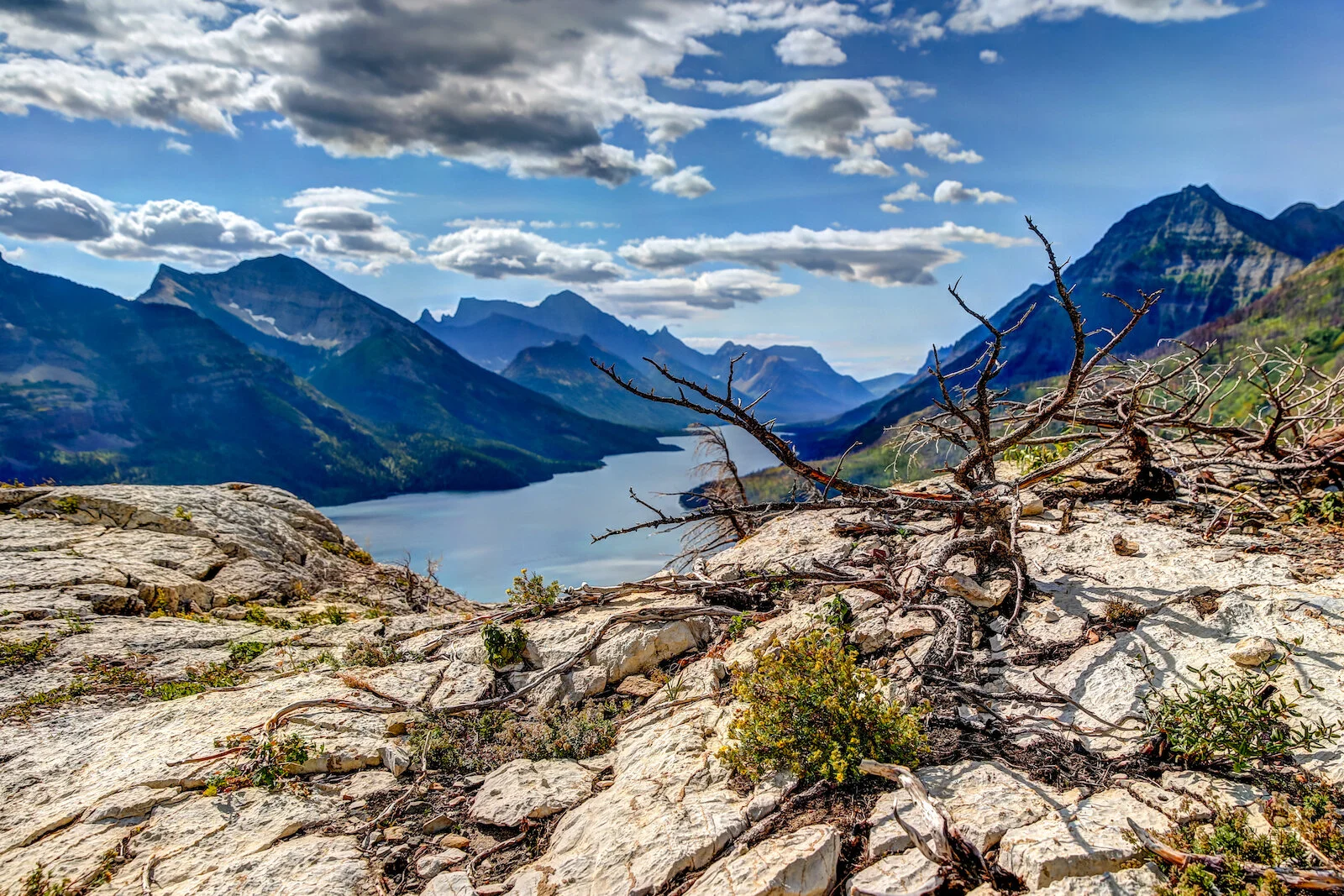 WATERTON-102.JPG