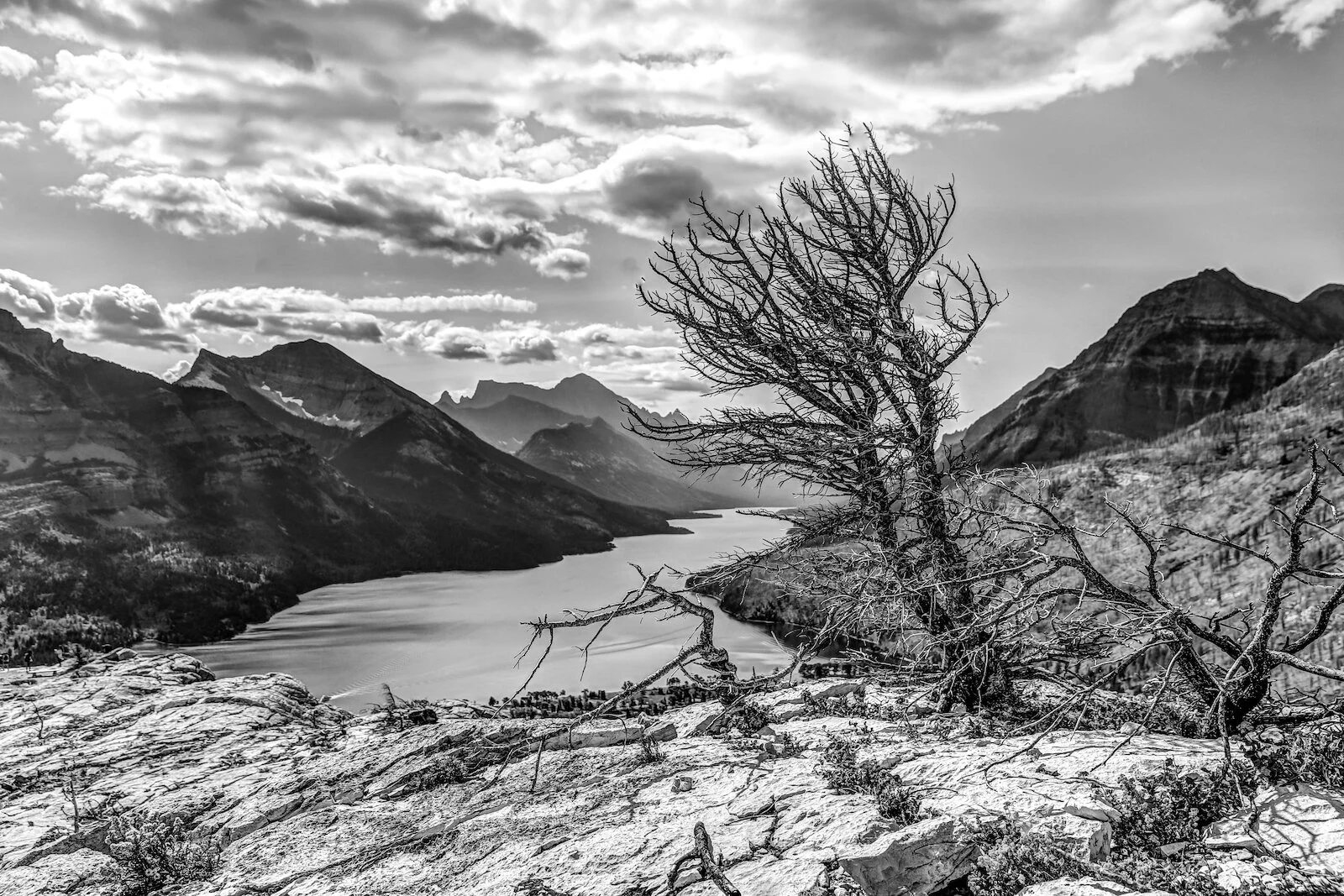 WATERTON-104.JPG