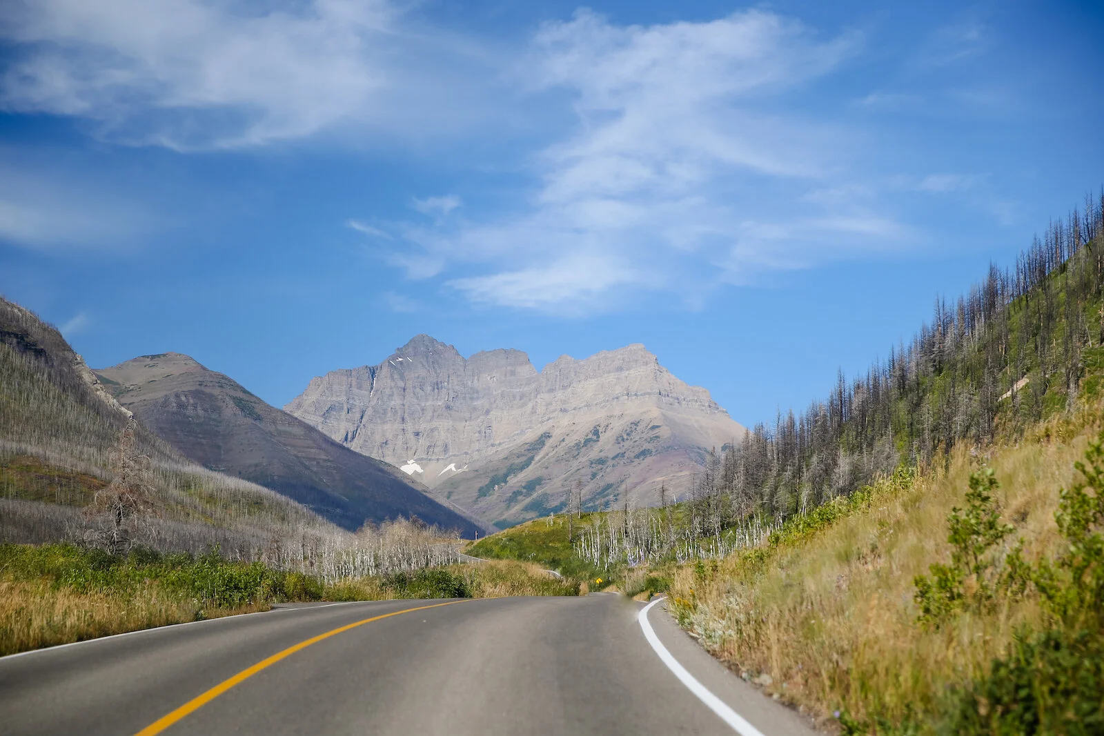WATERTON-153.JPG