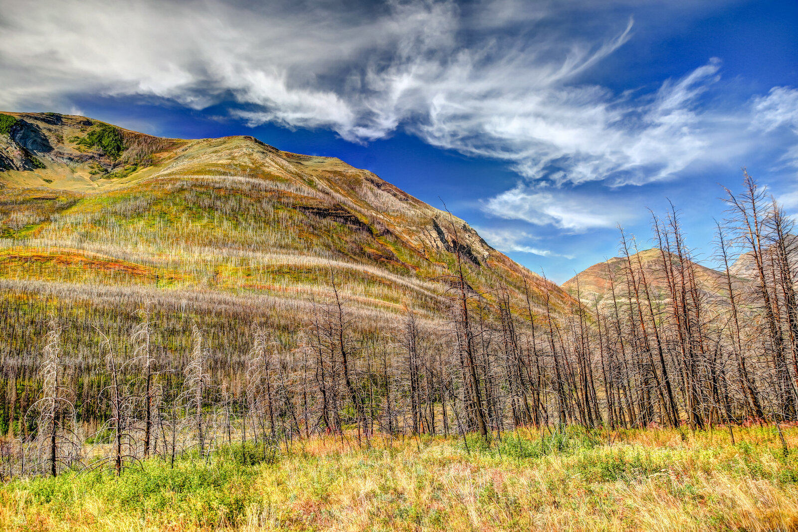 WATERTON-156.JPG