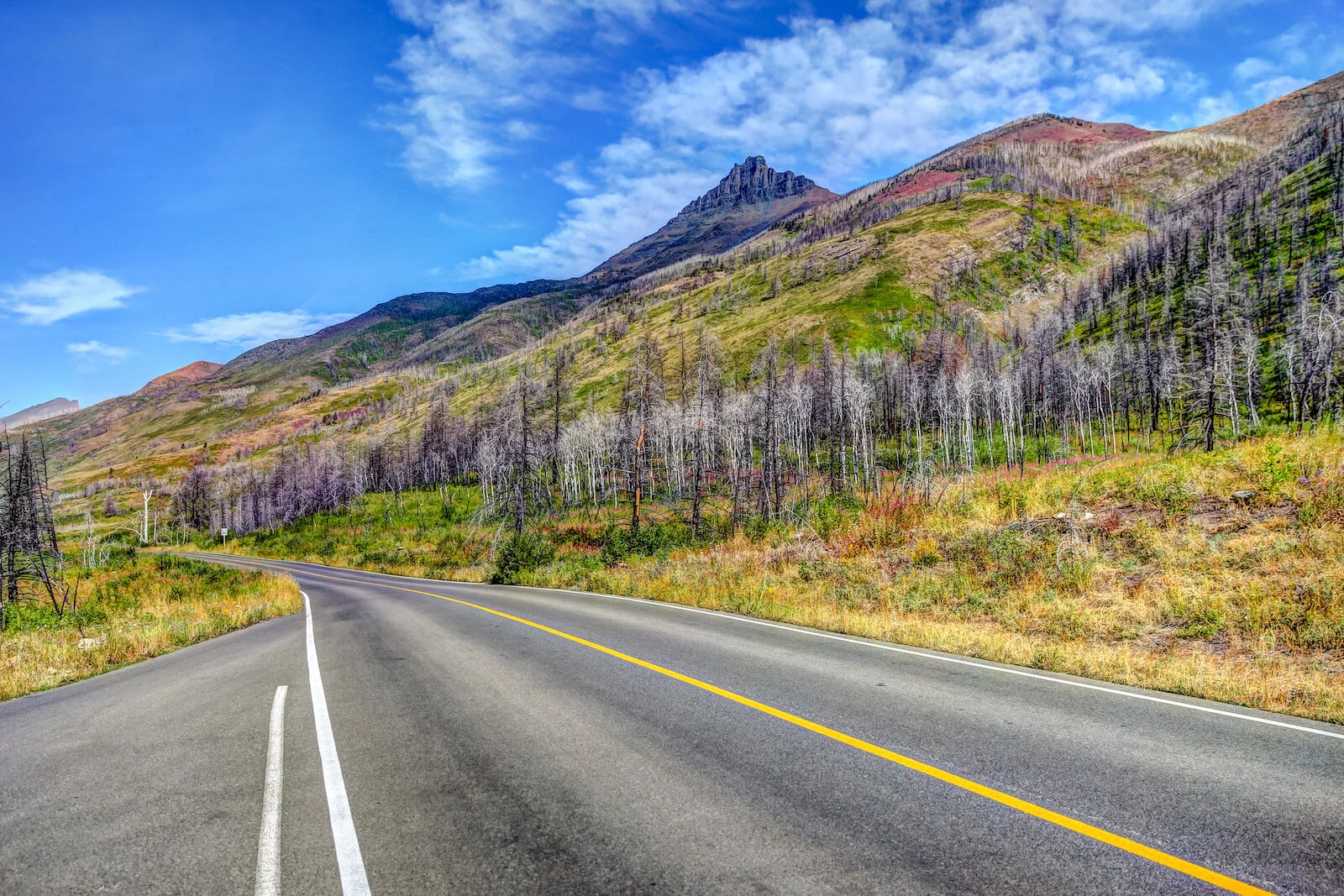 WATERTON-158.JPG