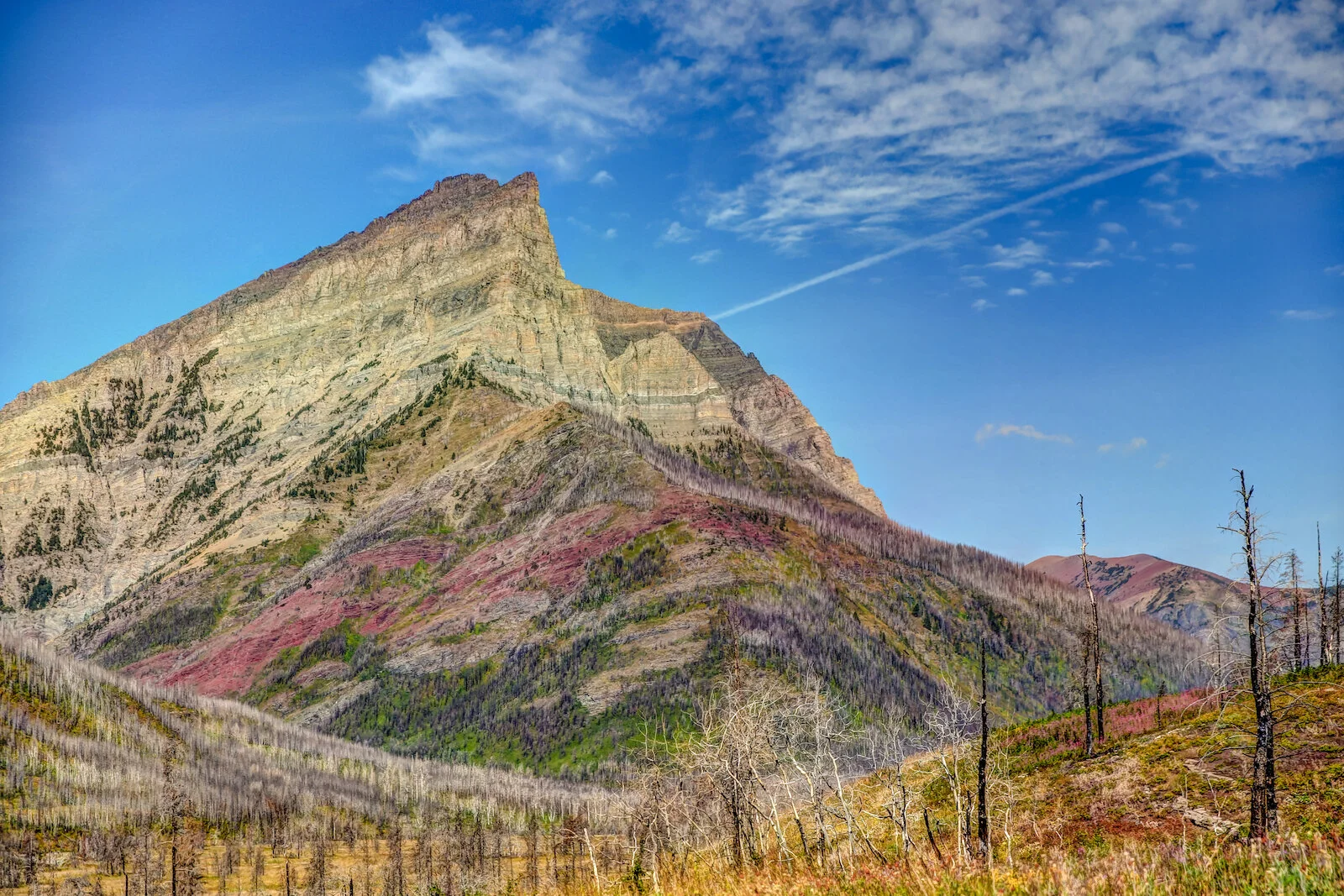 WATERTON-165.JPG