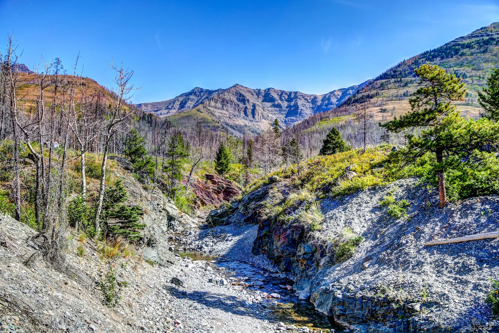 WATERTON-185.JPG
