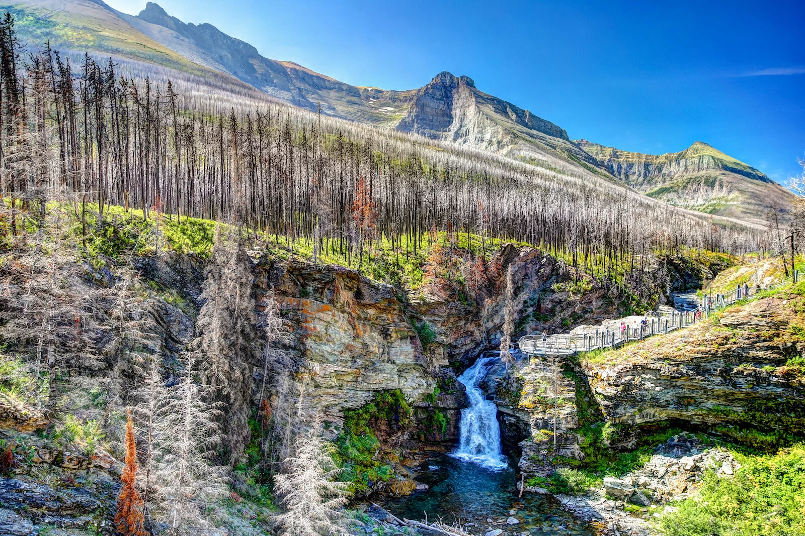 WATERTON-202.JPG