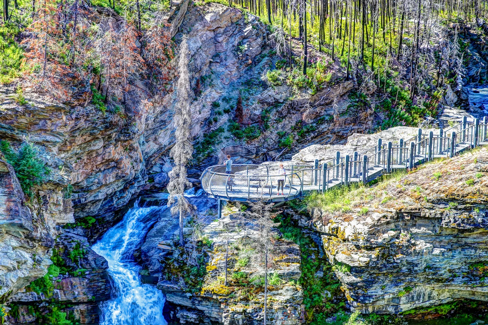 WATERTON-203.JPG