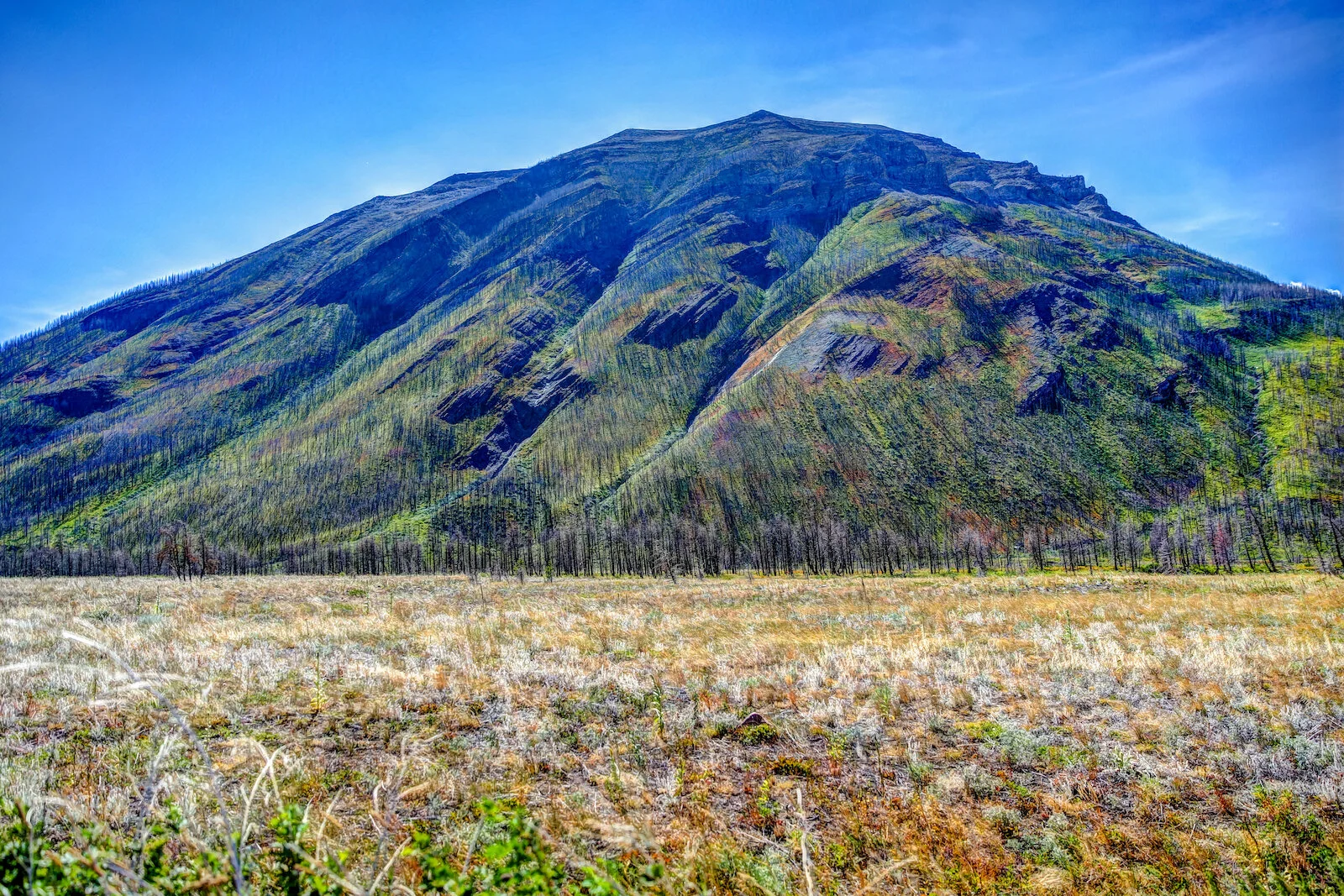 WATERTON-226.JPG