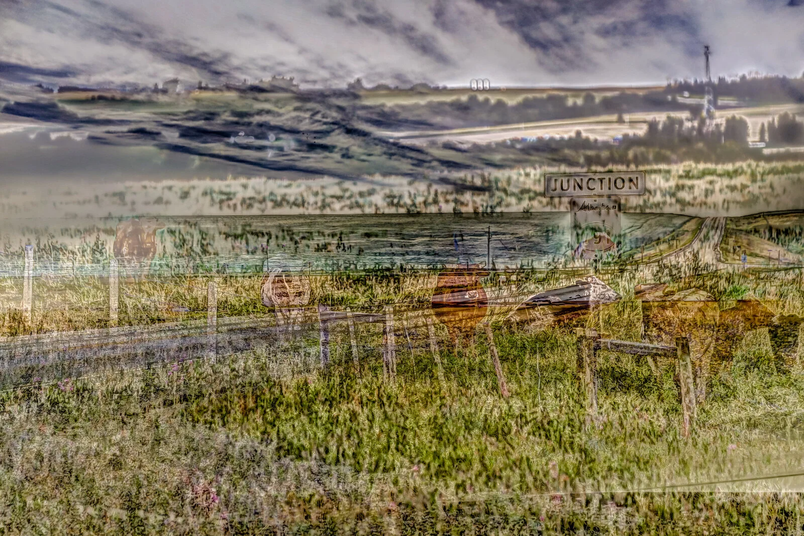 CALGARY RURAL ABSTRACT-1.JPG