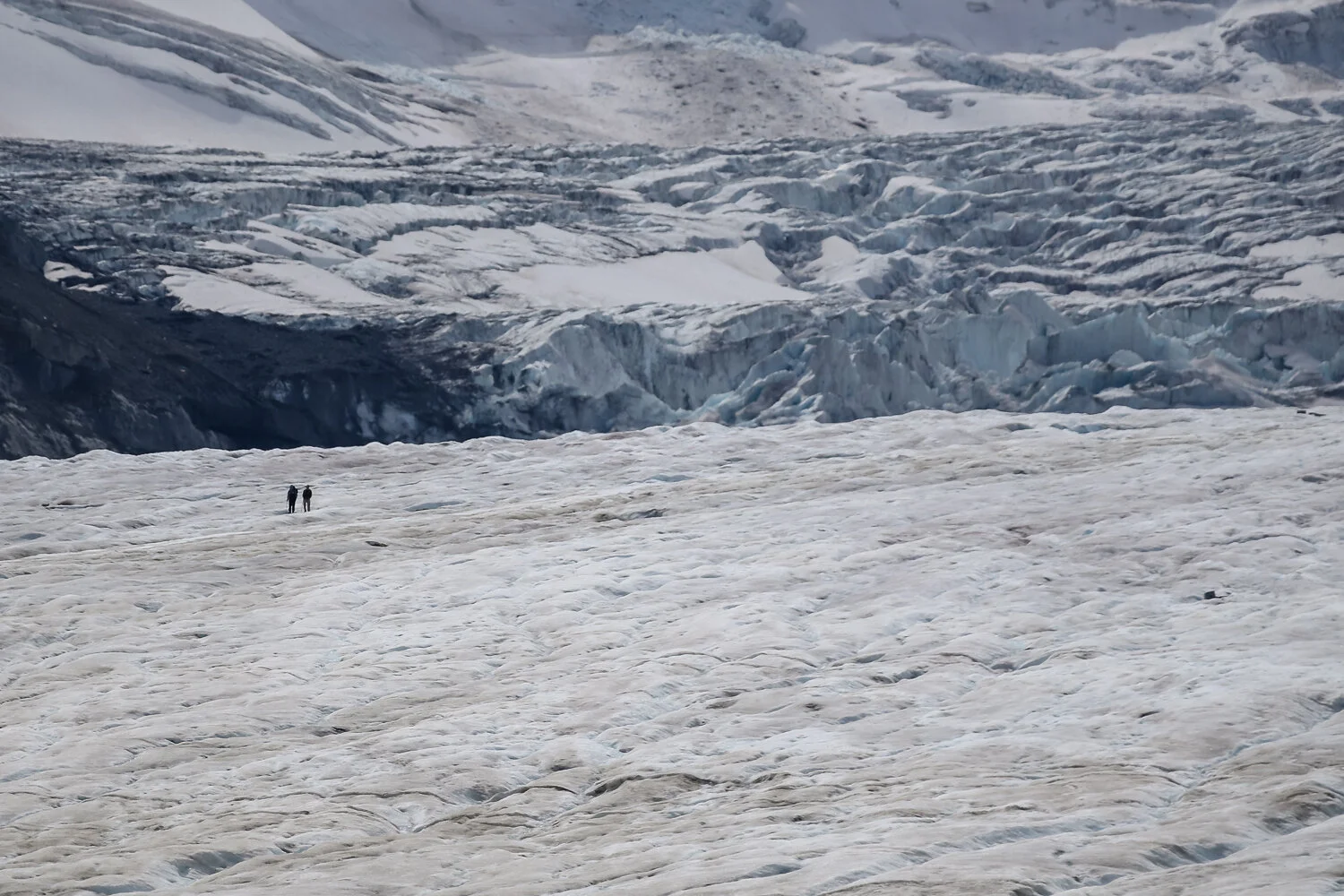 2020 Jasper-57.JPG