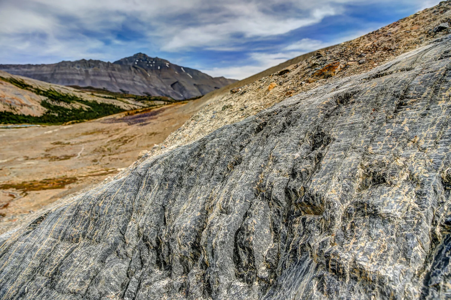 2020 Jasper-68.JPG