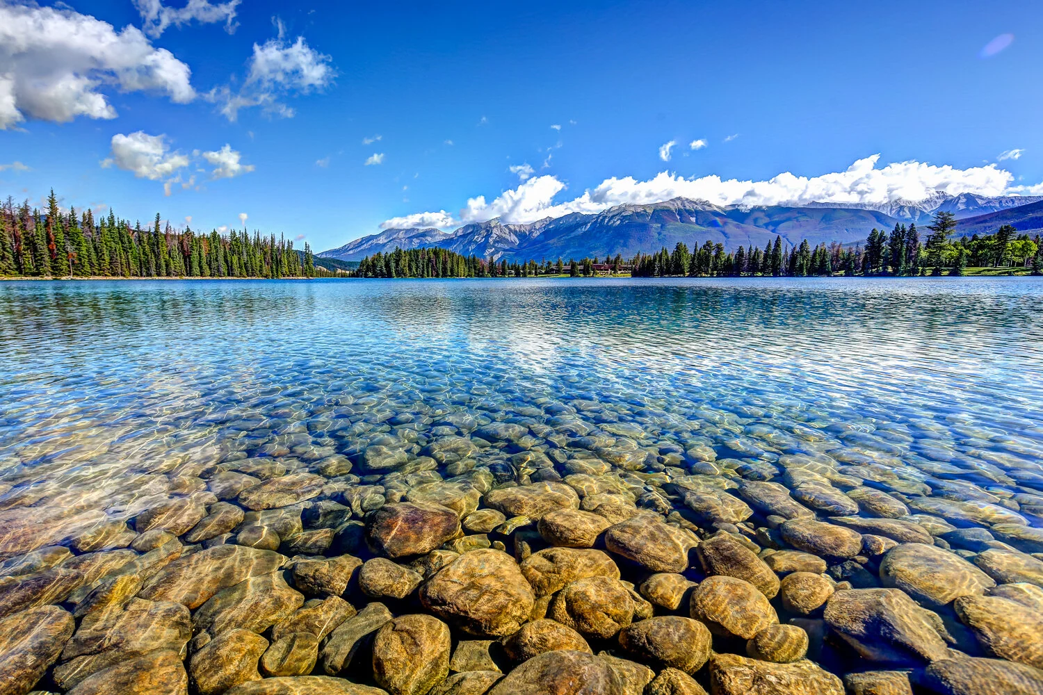 2020 Jasper-148.JPG